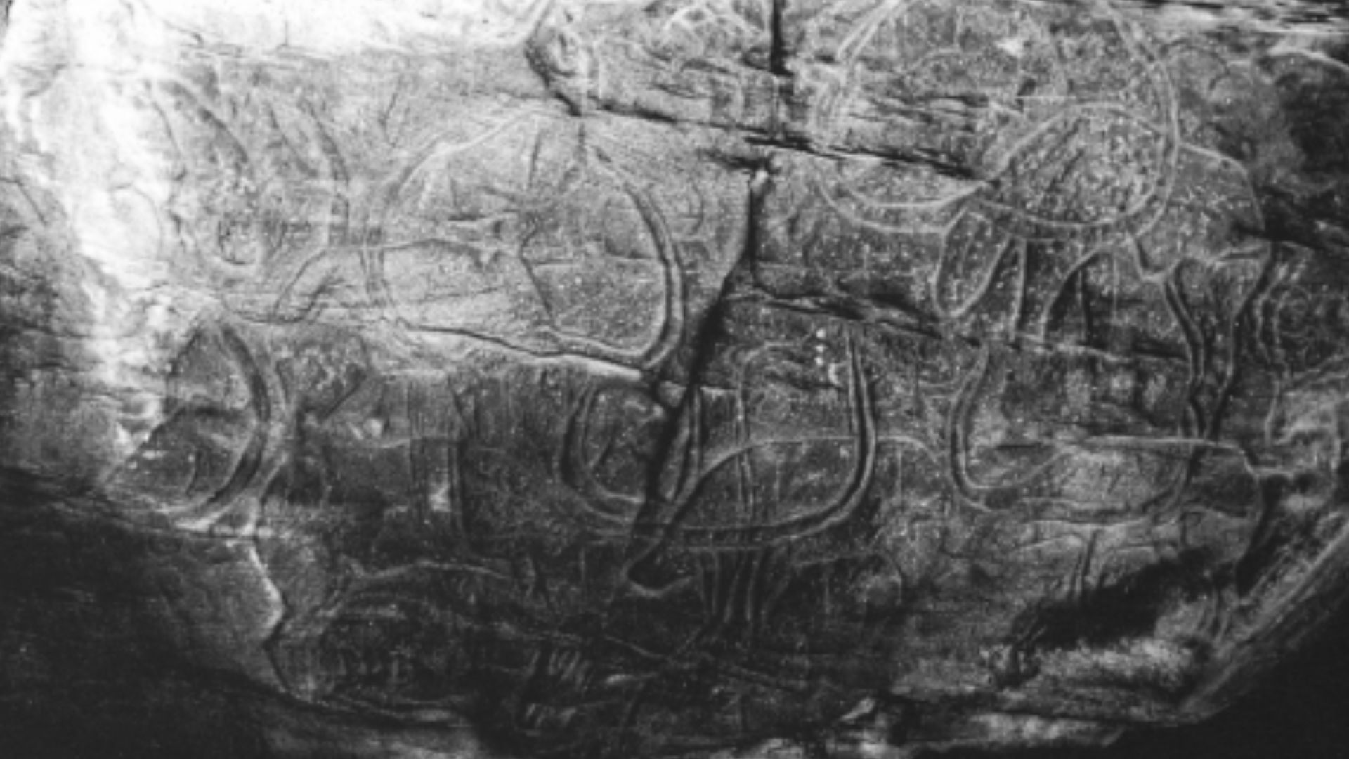 Búfalos Gigantes em arte rupestre