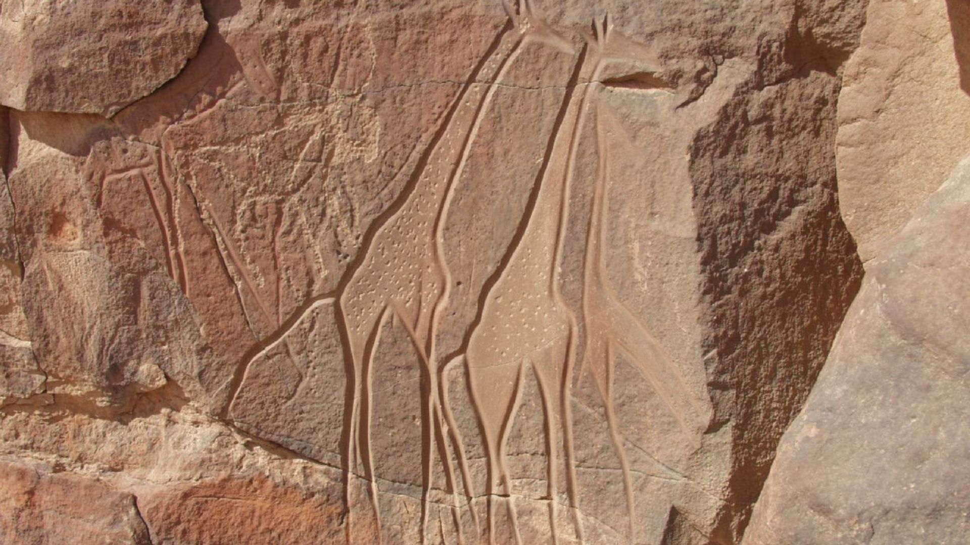 engraving of giraffes at Mathendous in the desert of Libya.