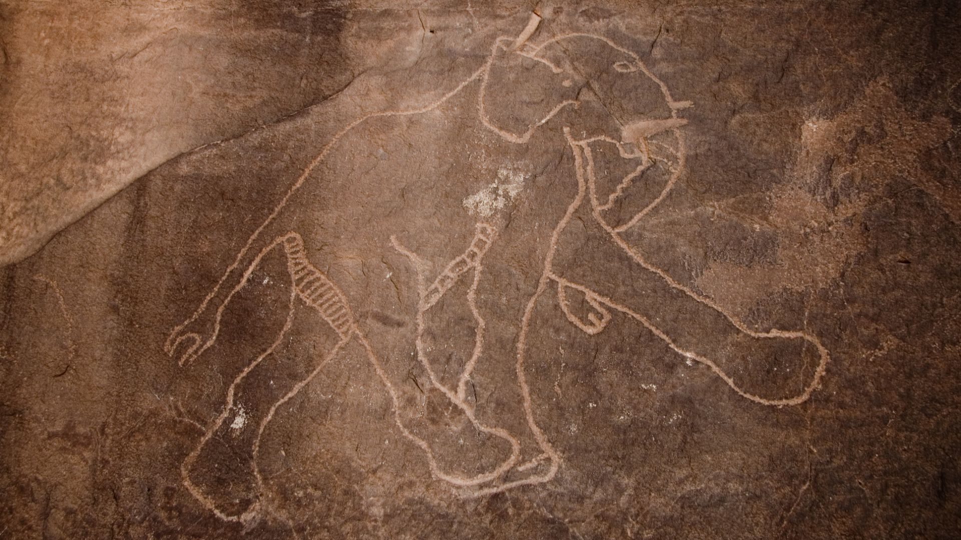 Rock carving of elephants in Tadrart Acacus region of Libya reflecting the dramatic climatic changes in the area.
