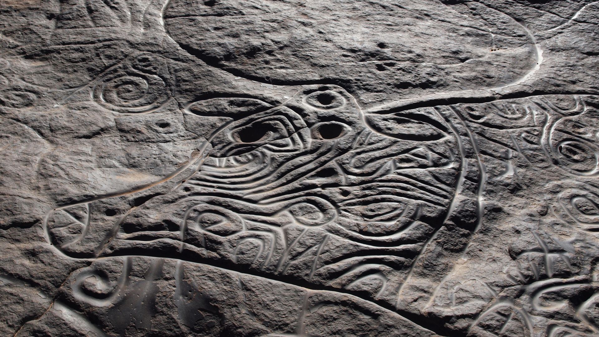 Detail of a petroglyph depicting a Bubalus antiquus, eponymous of the Bubalus Period of Saharan rock art. Located at Tin Taghirt on the Tassili n’Ajjer in southern Algeria.
