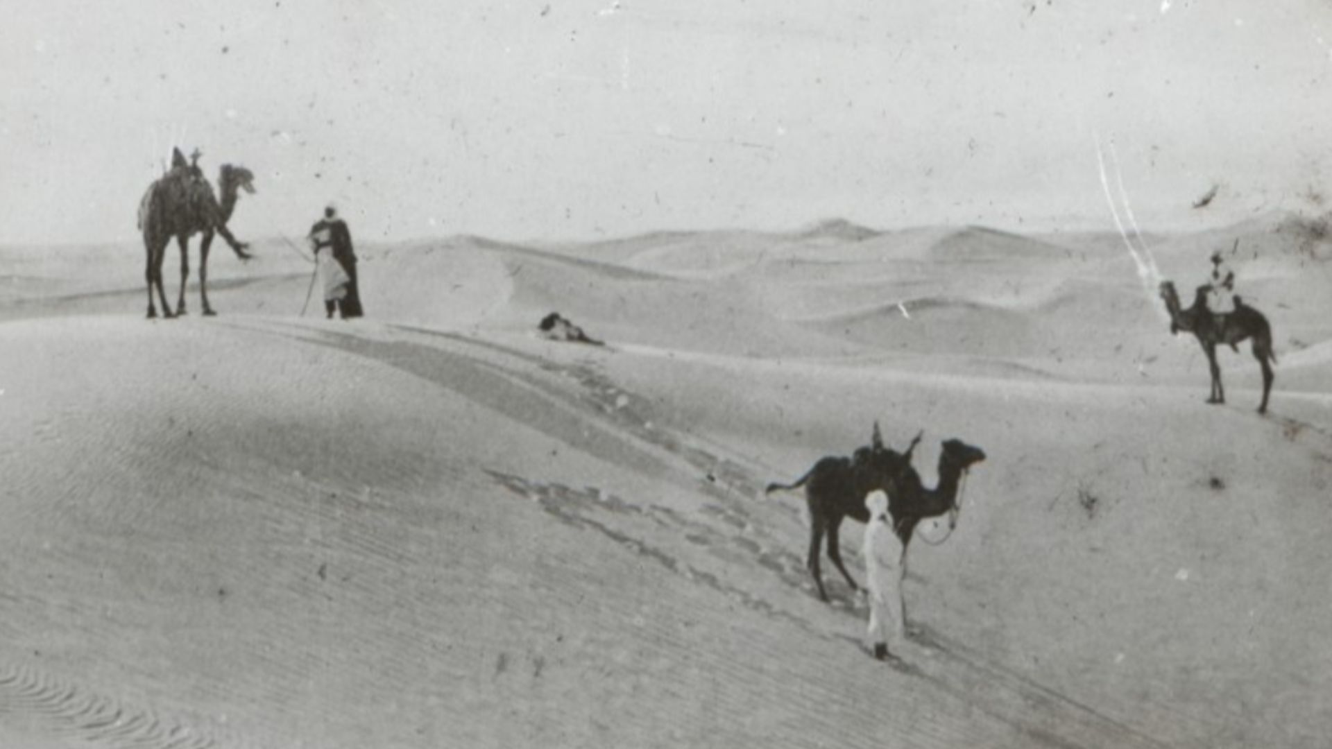 Dünenwüste oder Erg, Sahara. Fotografije na steklu iz zapuščine dr. Julija Felaherja, hrani Koroška osrednja knjižnica dr. Franca Sušnika Ravne na Koroškem.
