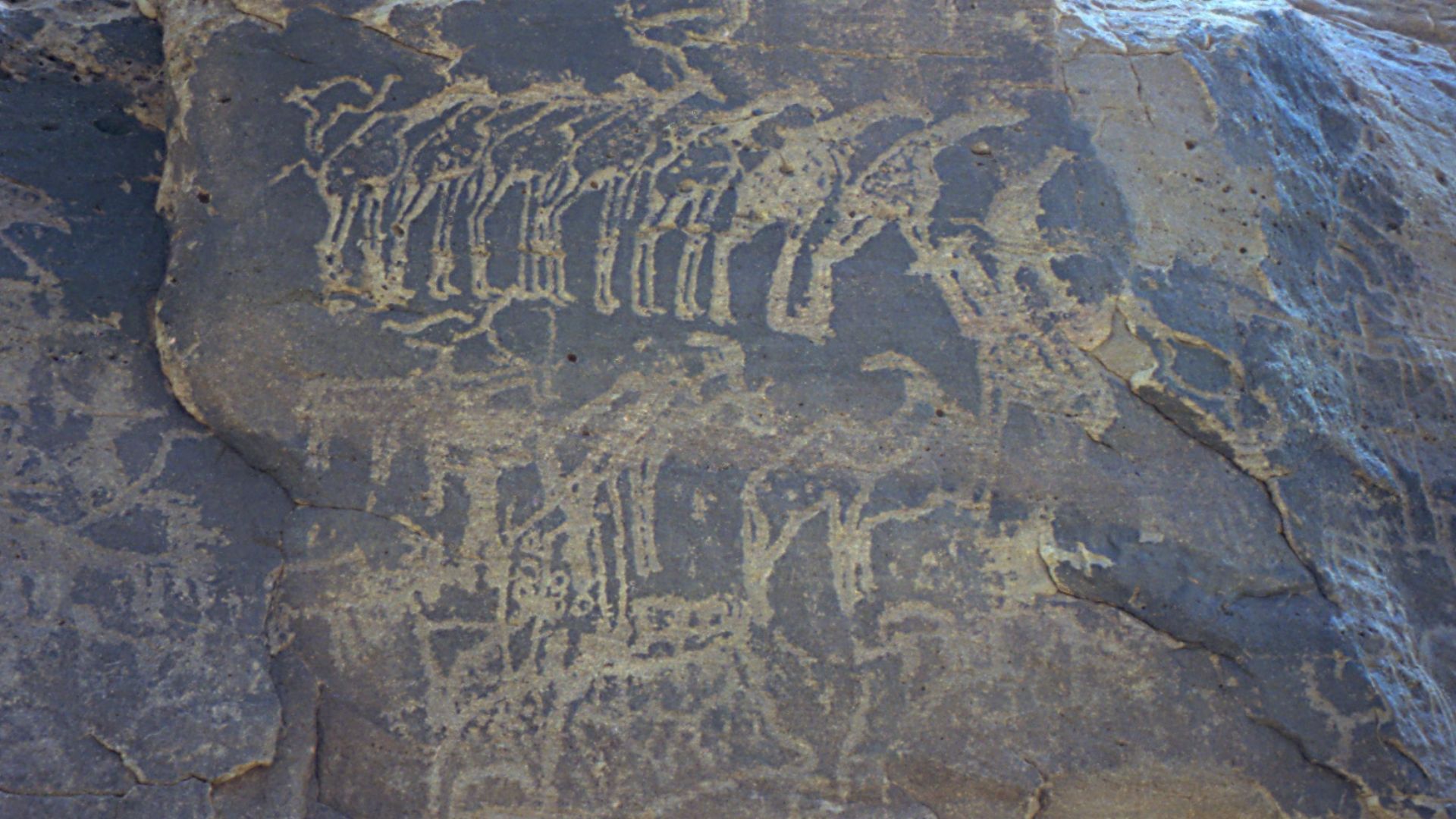 Ancient rock engraving. In the southern Sahara near Tiguidit, Niger, 1997.1997 #278-10 Sahara glyph