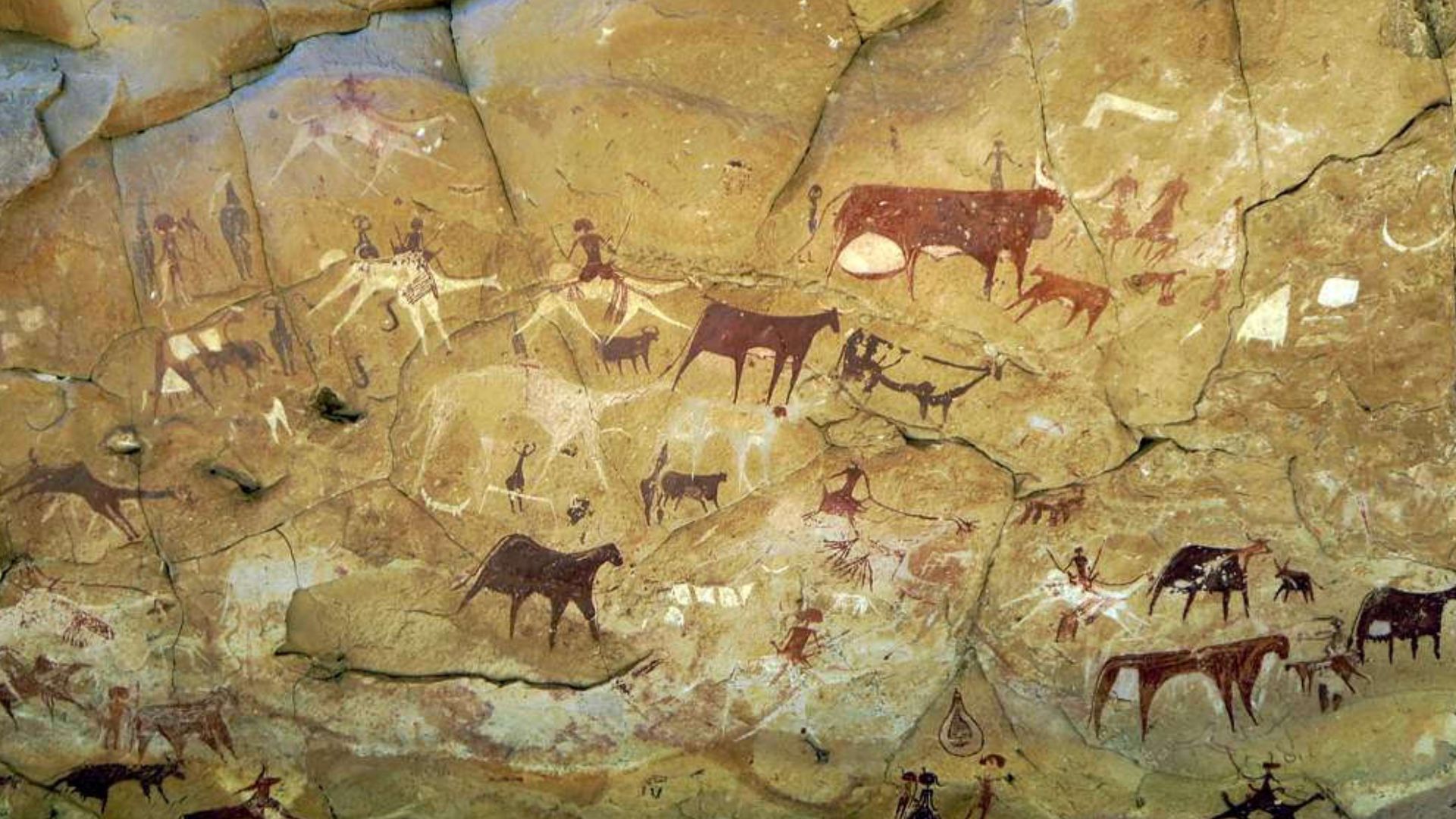 These prehistoric rock paintings are in Manda Guéli Cave in the Ennedi Mountains, Chad, Central Africa. Camels have been painted over earlier images of cattle, perhaps reflecting climatic changes.