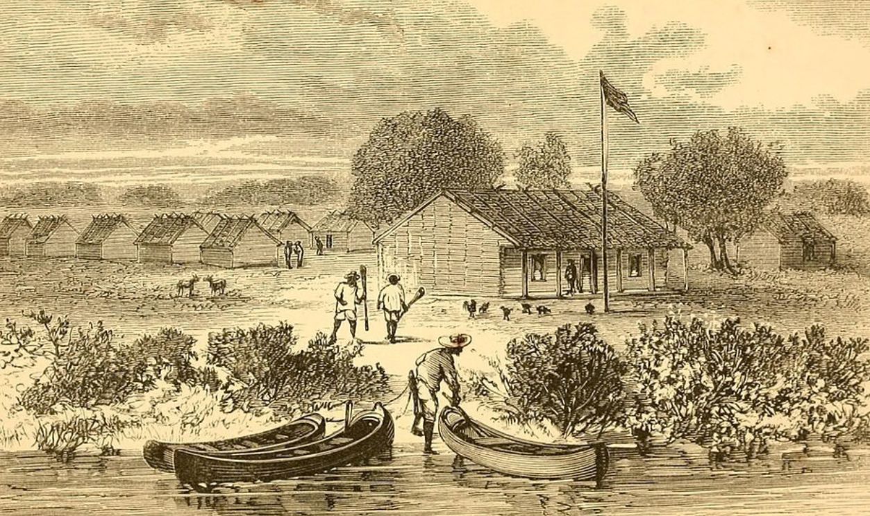 Lions, Hunters, And The Risk Factor