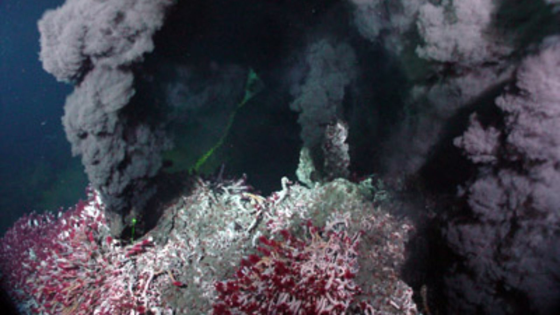 This vigorously venting black smoker, called Sully, emits jets of particle-laden fluids that create the black smoke.