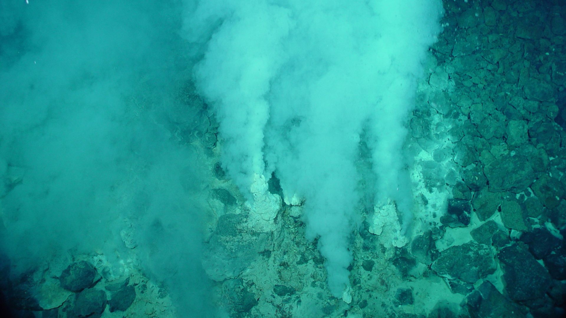 White flocculent mats in and around the extremely gassy, high-temperature (>100°C, 212°F) white smokers at Champagne Vent.