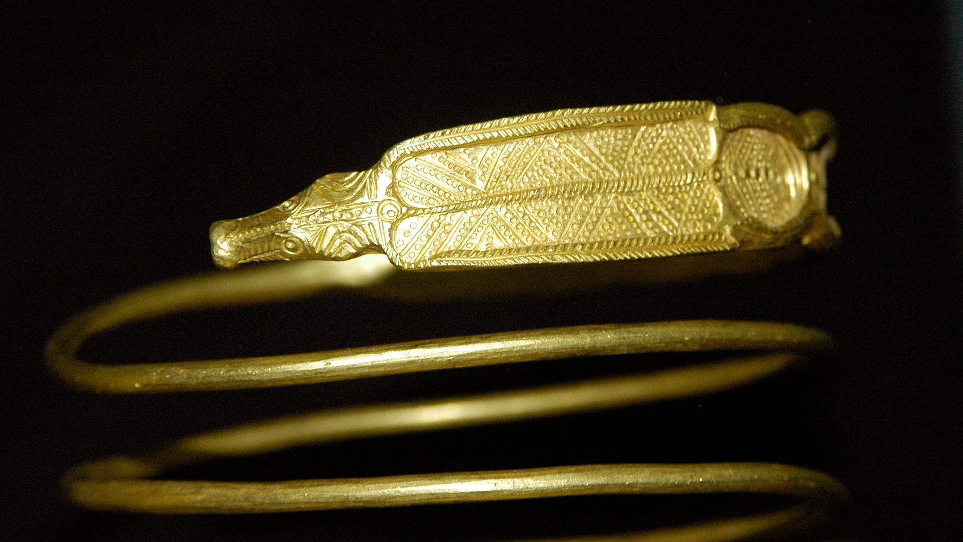Dacian gold bracelet (head) at the National Museum of the Union, Alba-Iulia, Romania.