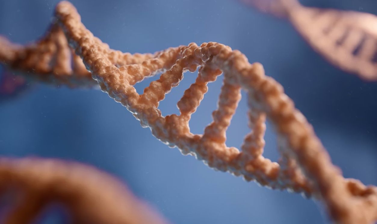 3D rendering capturing the double helix structure of DNA 