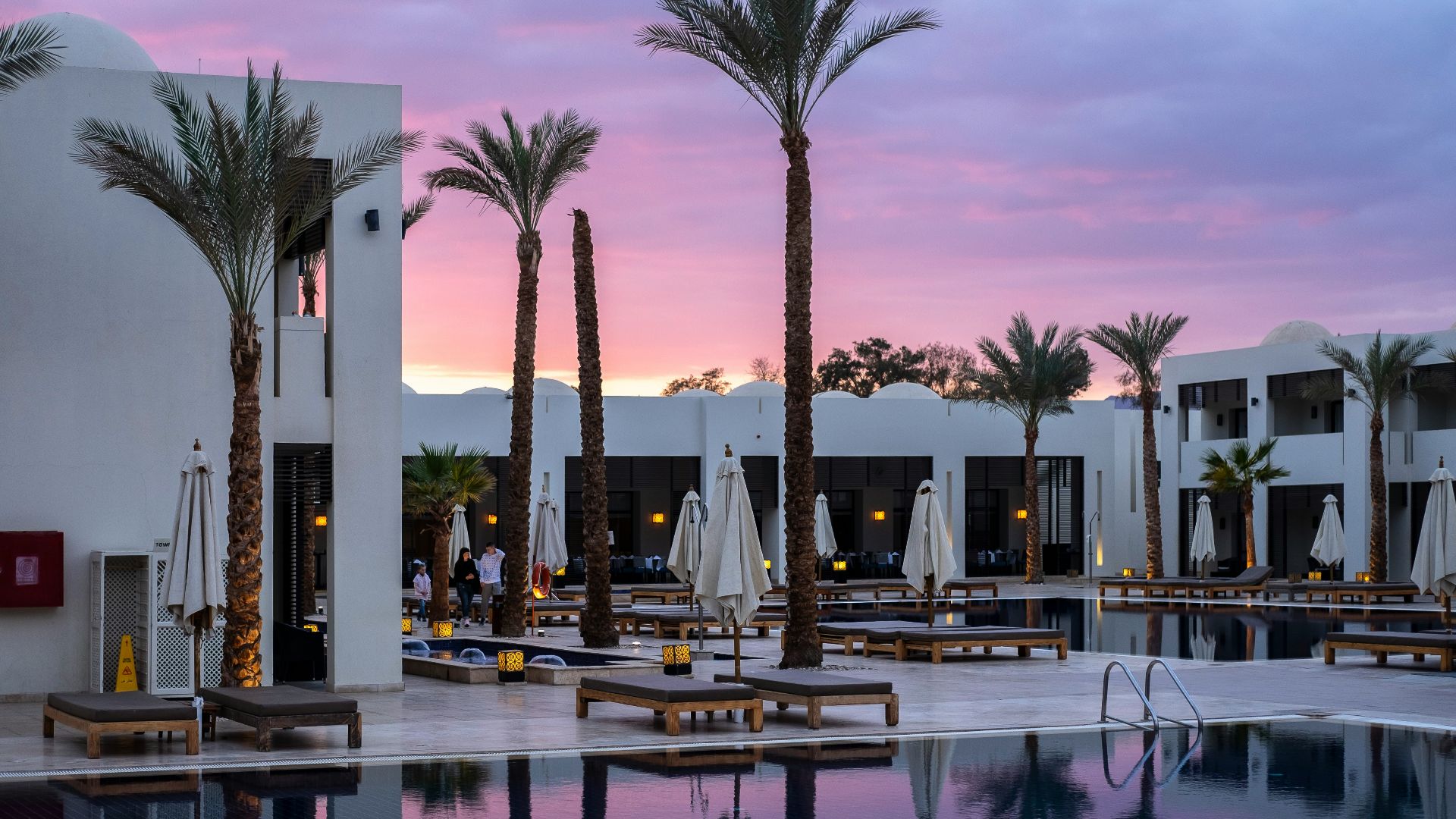 a large swimming pool surrounded by palm trees