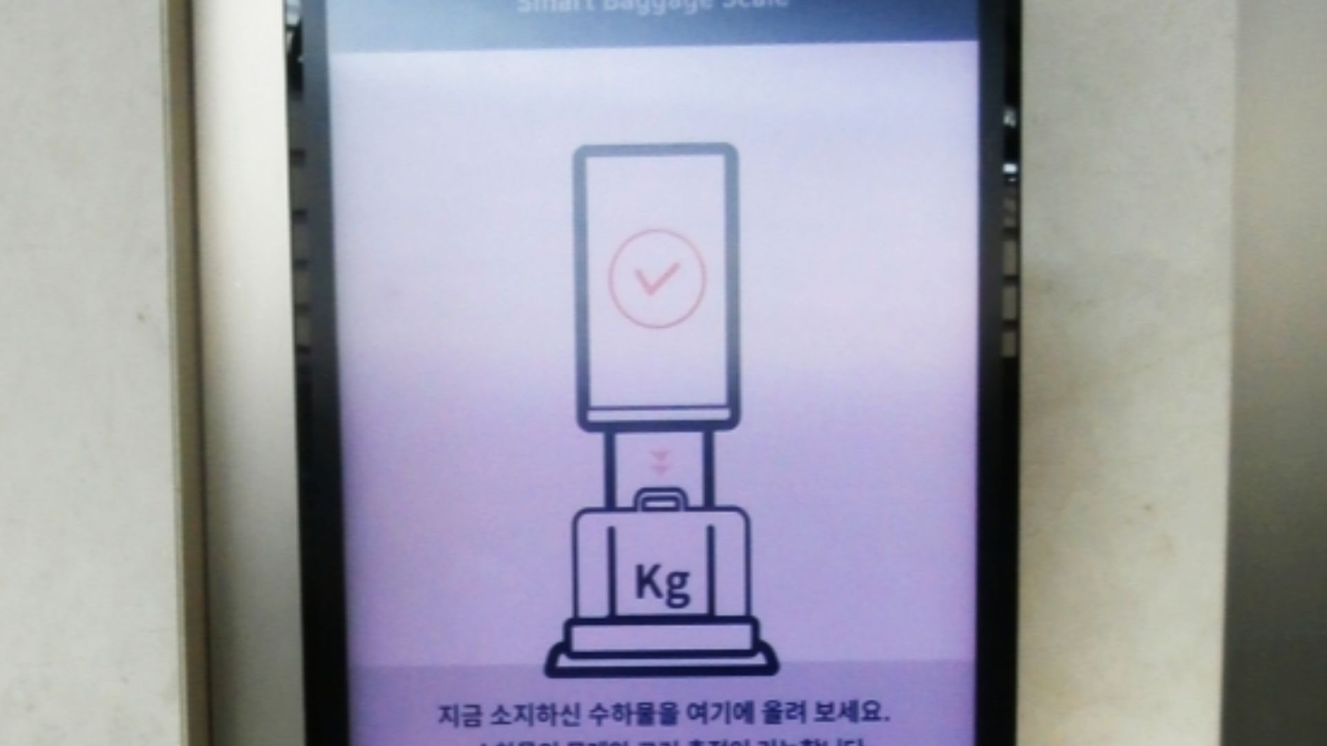 Complimentary scale for flight guests, for their checked and unckecked baggage