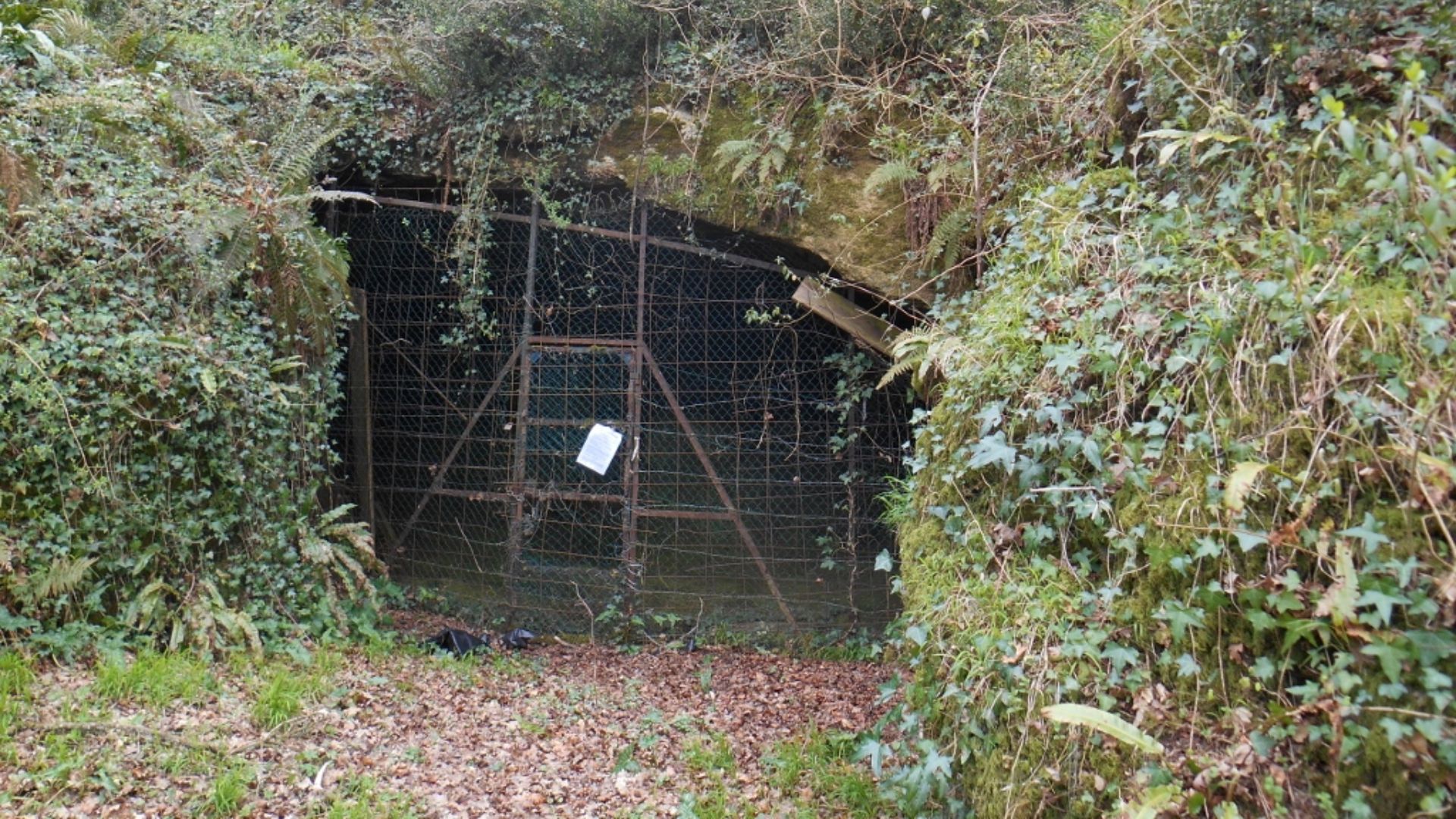 Grotte du Pape, Brassempouy, Landes