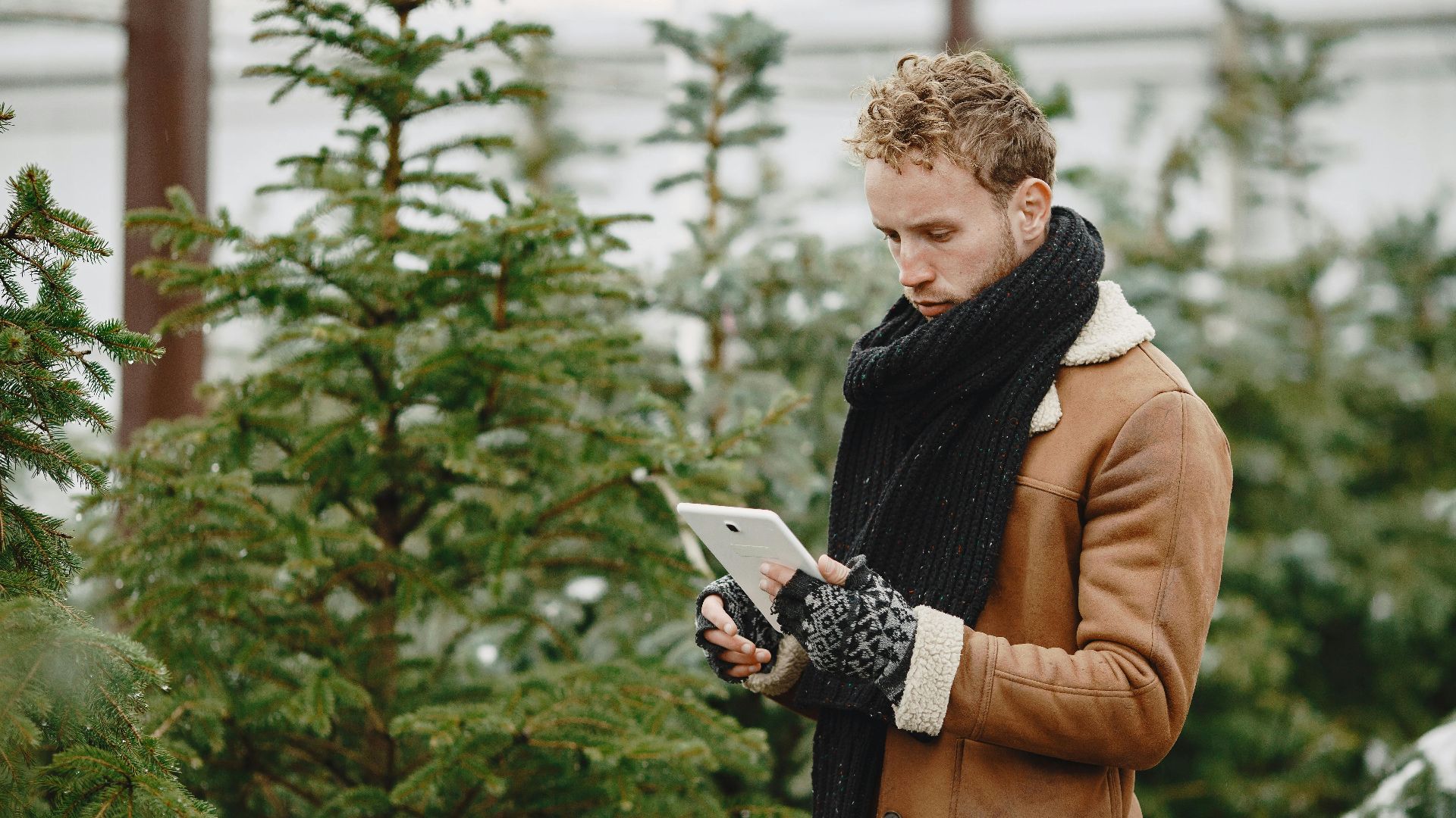 A man in a winter coat and scarf uses a tablet in a conifer tree nursery during the day.