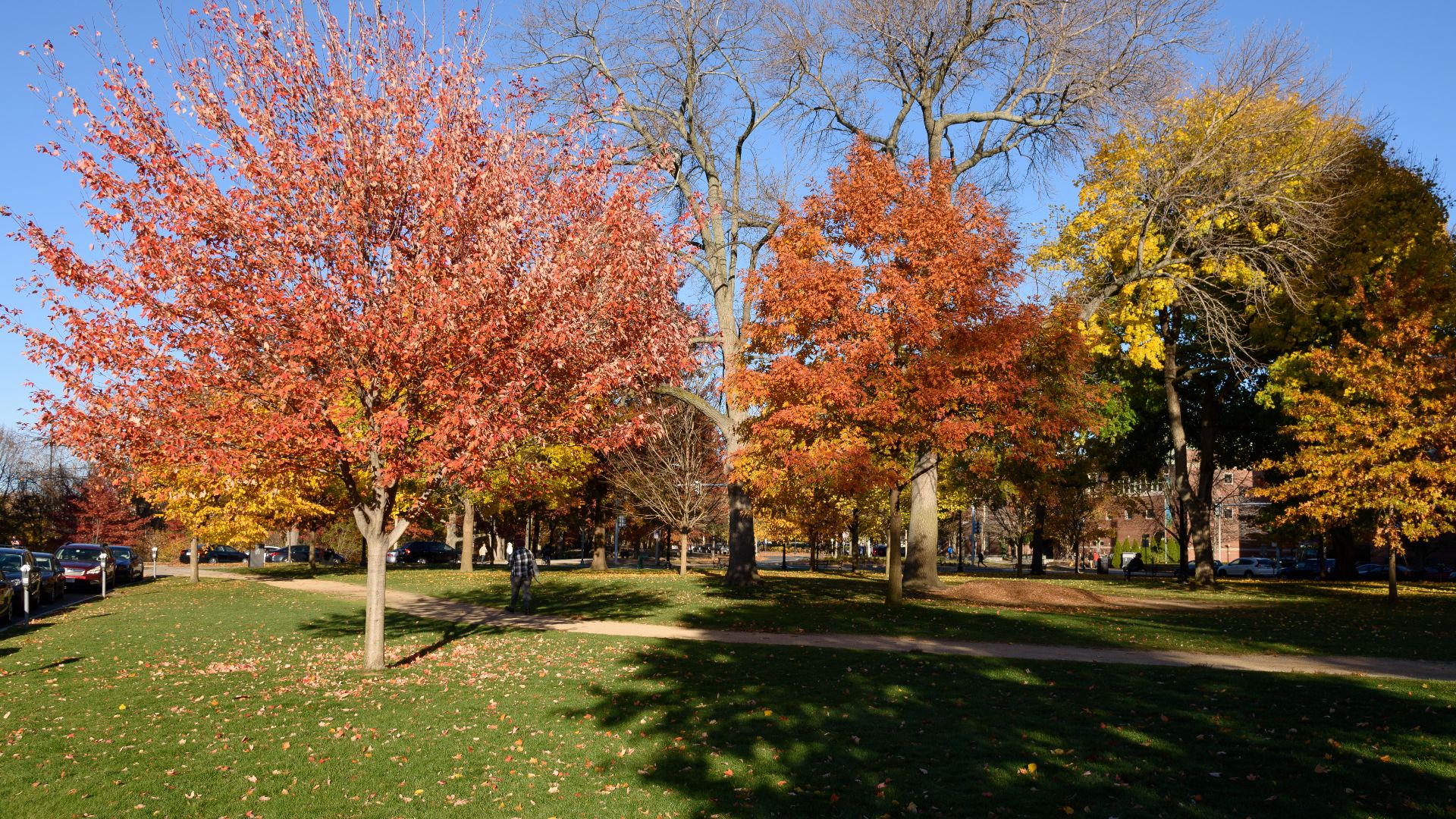 Evans Way Park, Back Bay Fens, Boston.