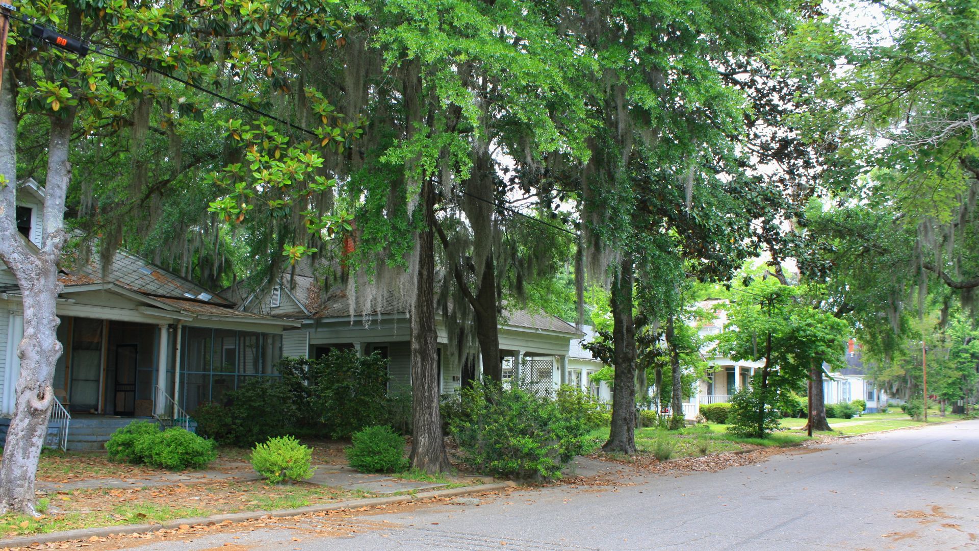 Lamar Avenue in the Riverview Historic District in Selma, Alabama.