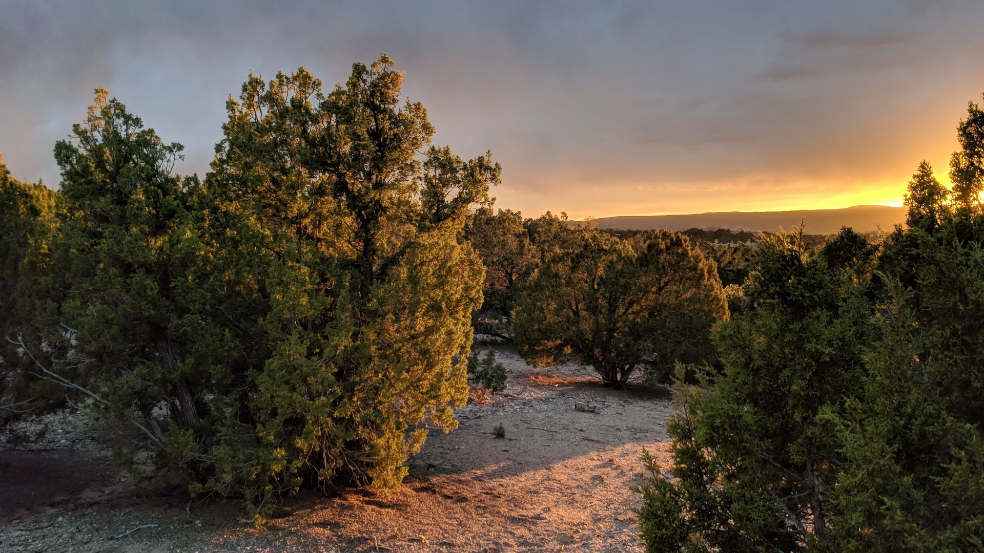 The sun setting over the desert, as seen from a hill outside of Santa Fe, New Mexico.