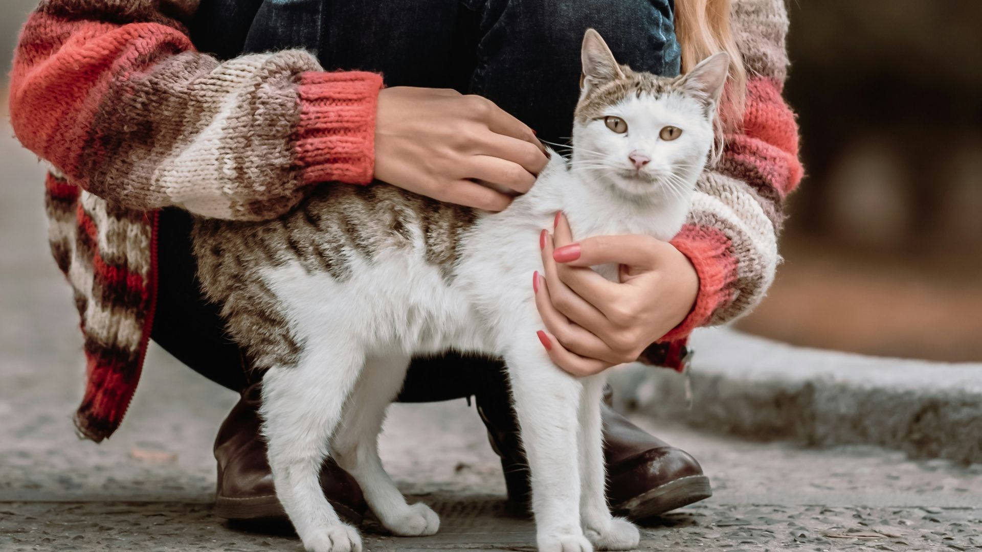 woman holding cat