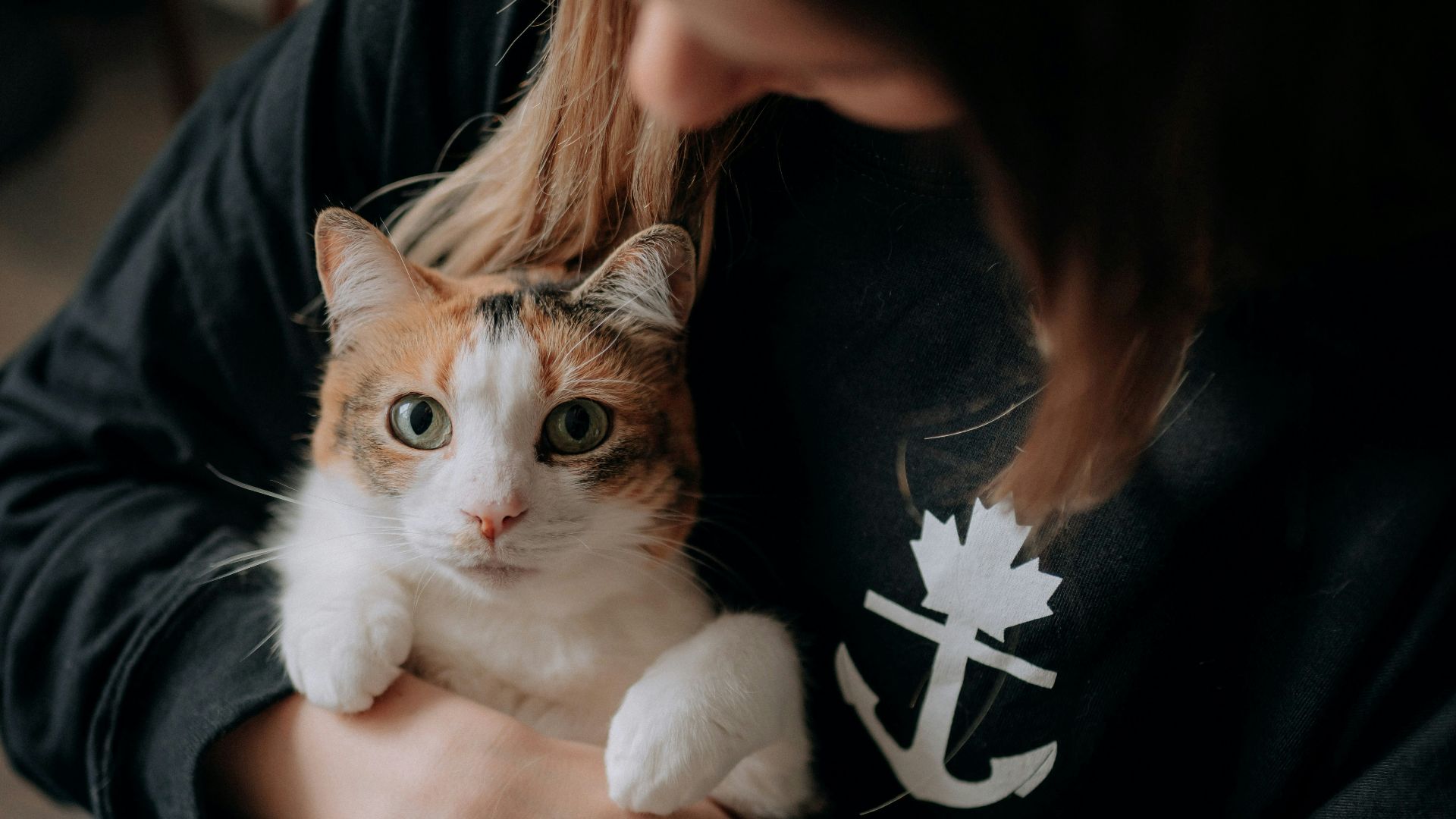 a woman holding a cat in her arms