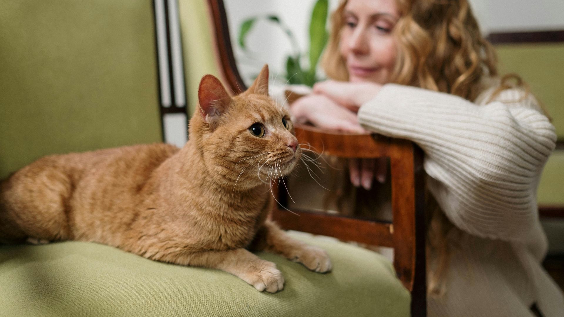 A woman enjoys a peaceful moment indoors with her ginger cat relaxing on a green armchair.