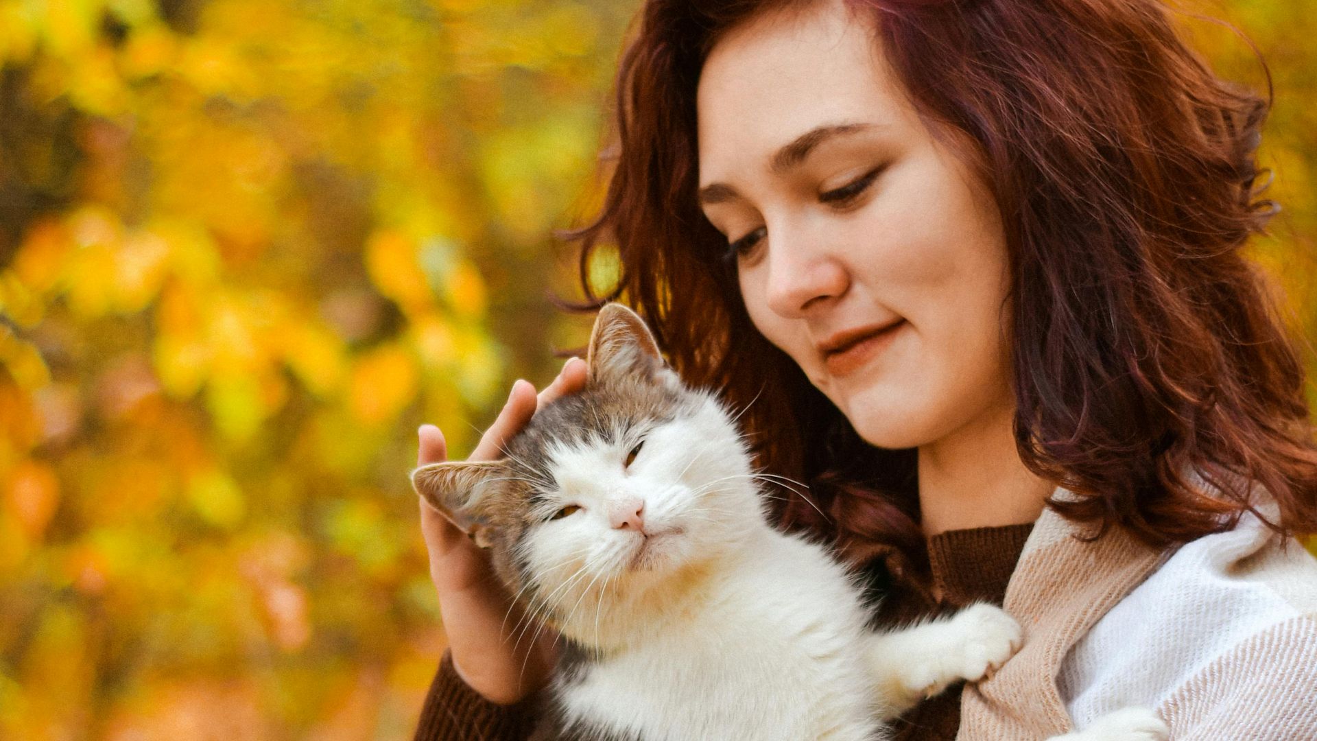 A woman gently holding a fluffy cat amidst a colorful autumn background.