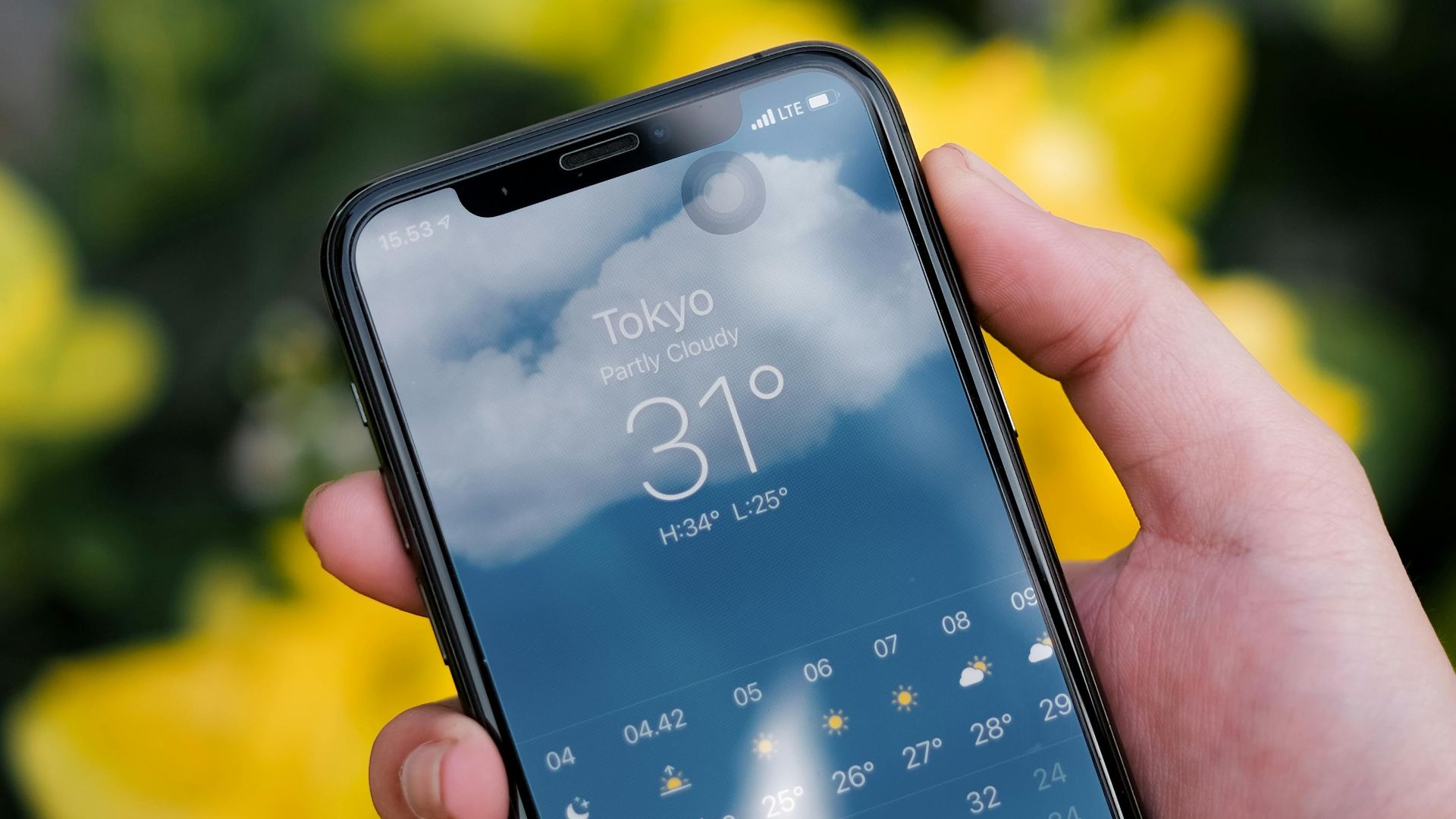 Person holding a smartphone displaying Tokyo weather forecast with yellow flowers in the blurred background.