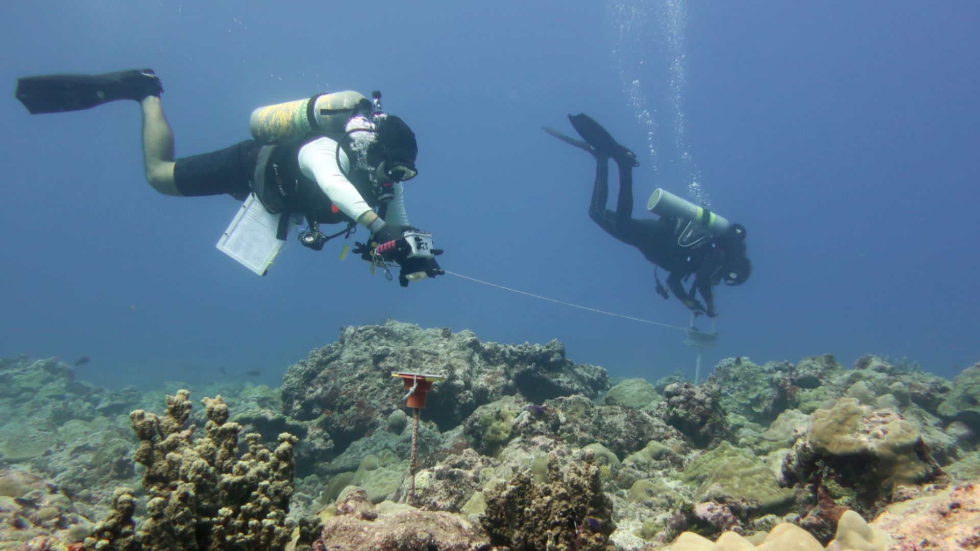 Divers from the National Oceanic and Atmospheric Administration survey ship NOAAS Rainier (S 221) conduct a Structure-from-Motion (SfM) survey on a coral reef off the west-central coast of Guam.