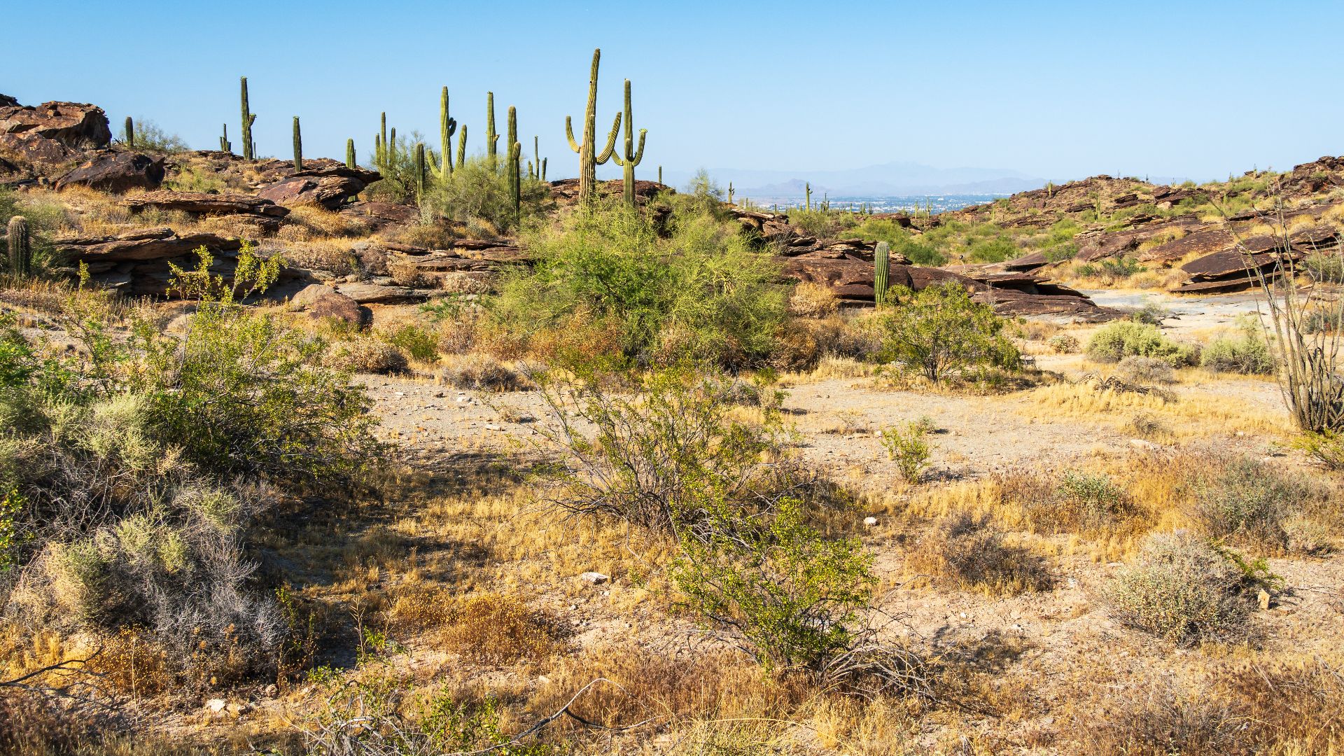 File:South Mountain Park, Phoenix, Arizona, USA (54403134809).jpg