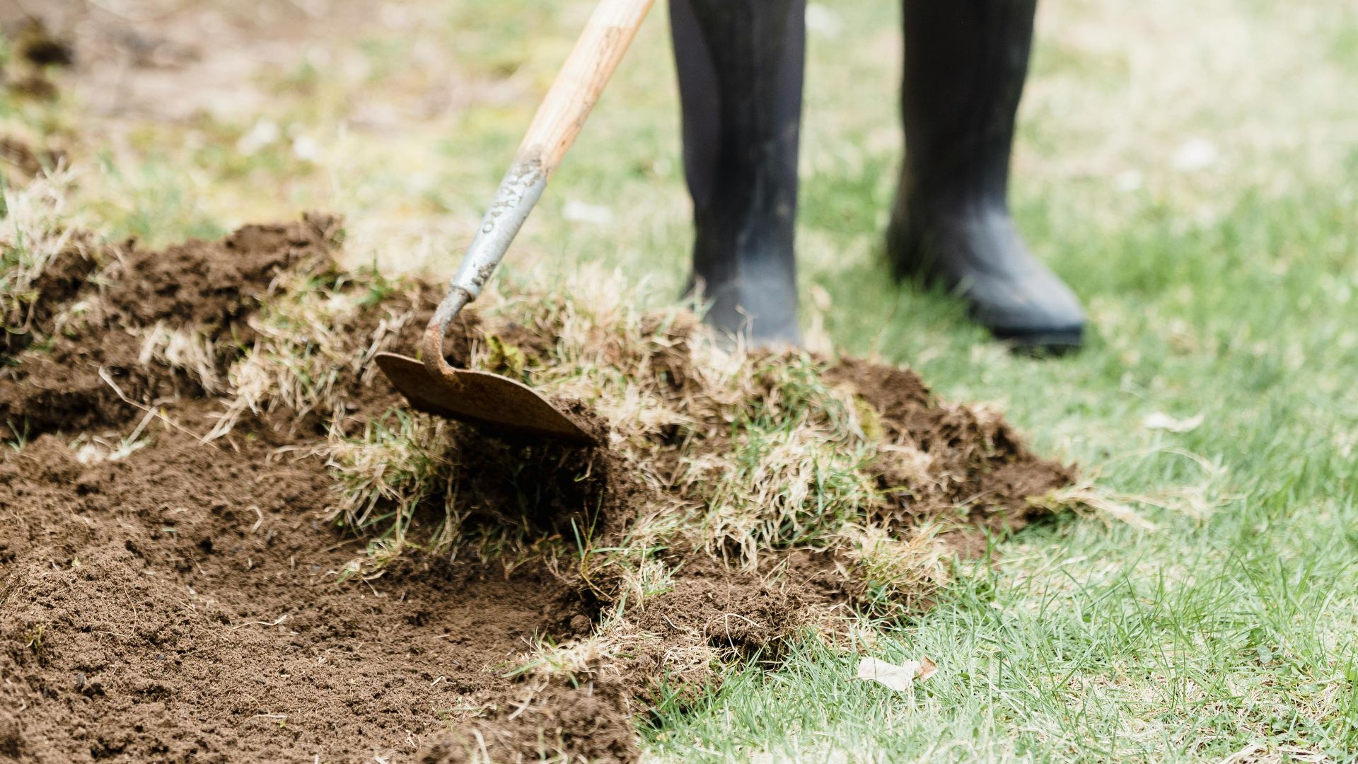 Full body of positive female gardener in gloves and rubber boots standing and loosening soil in backyard of house in countryside in daytime