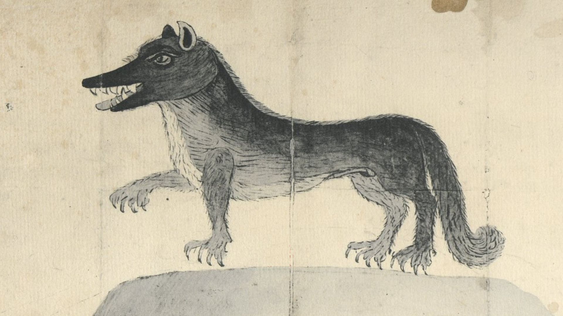 Illustration de La bête du Gévaudan de François Fabre, page 8