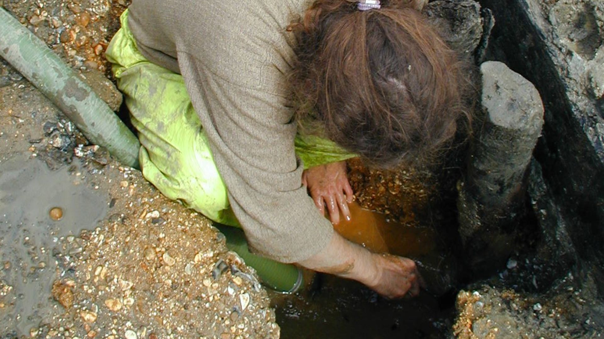 Archaeologist excavating a wooden stake from the Stratton deserted medieval village, excavated 1990-2001