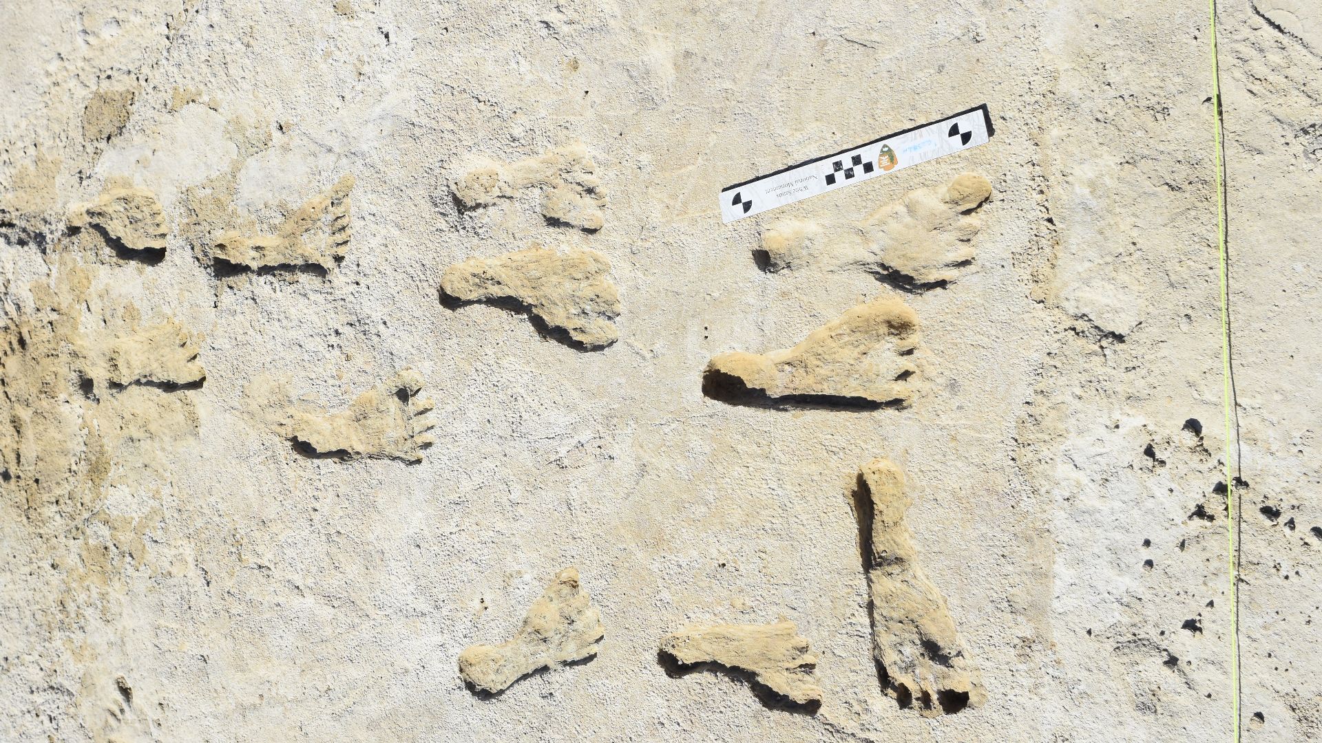 12 human footprints belonging to one adolecent and possibly female teenager.
The size of the set of footprints indicates that it was left by a human  child. The second set of tracks were left by a possibly female teenager.
Keywords: Ice Age; Footprint; Size; Adolescent