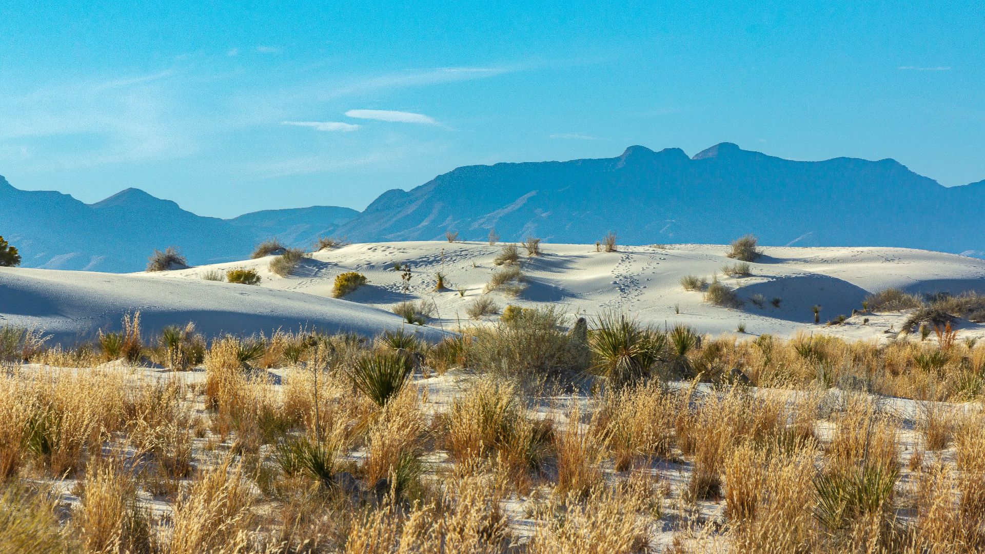 These pictures were taken in White Sands National Park, in New Mexico, last November.  White Sands is one of the strangest places to be driving and hiking in because of the white sand, which is 98% Gypsum.  We knew it was November, which is a good month to visit, but your sensory gives you the feeling you are walking around in snow.  We chose November as the time to visit because of the temperatures were tolerable.  The mountain range in the background are the San Andreas.