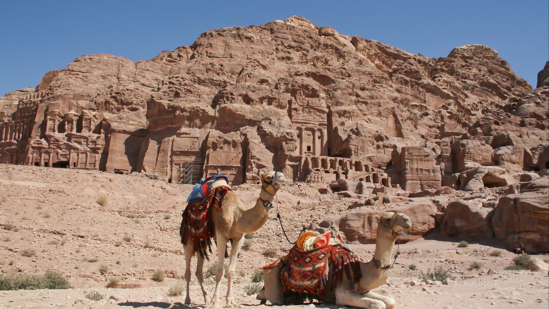 File:Camels in front of the tombs, Petra, Jordan.jpg