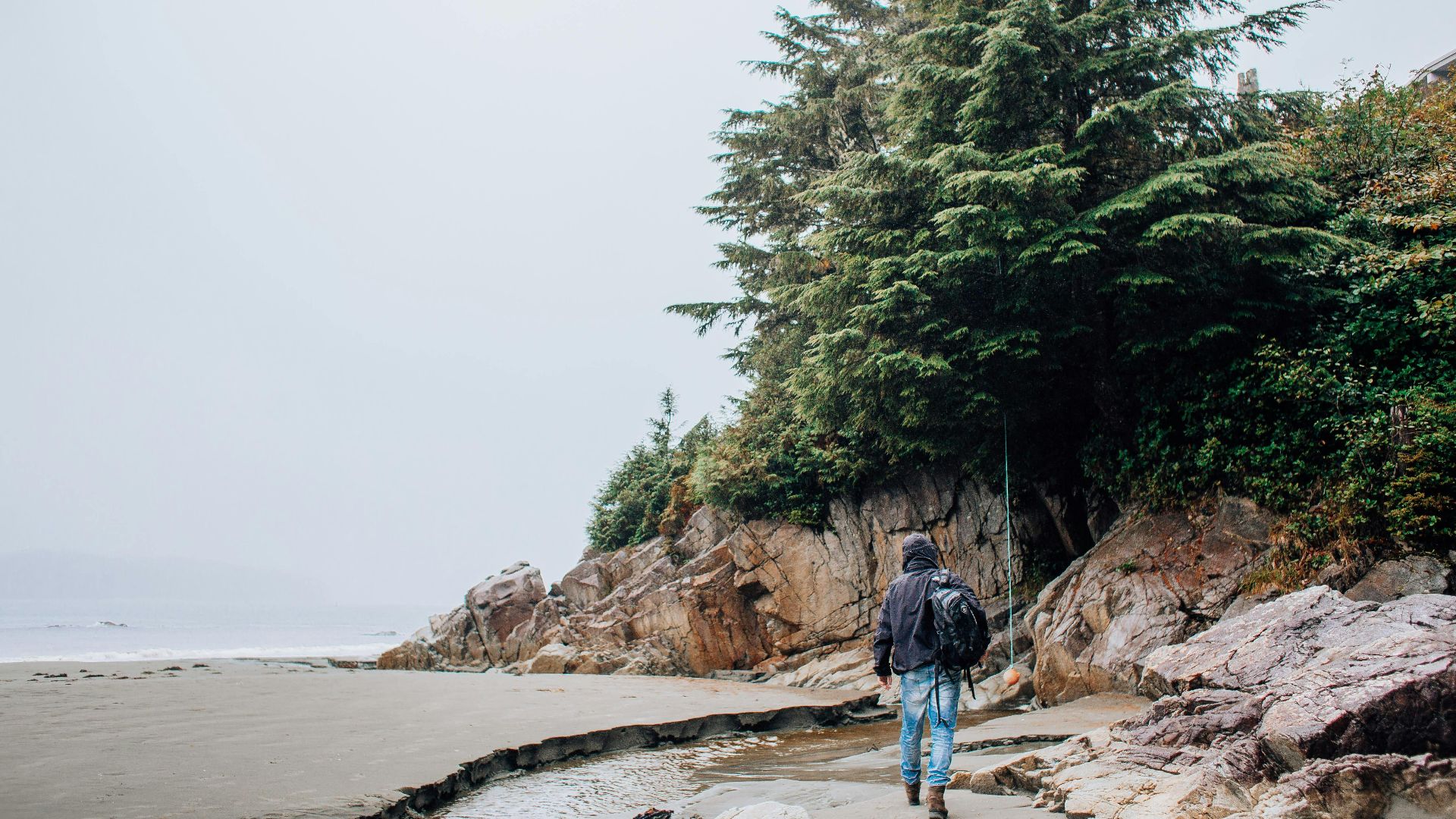 Man hiking on a scenic coastal trail by the sea shore with rocky landscape and lush greenery.