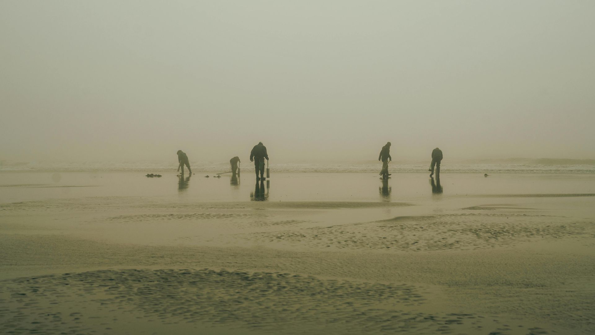 Silhouettes of people on a misty beach shore, engaging with nature in a tranquil setting.
