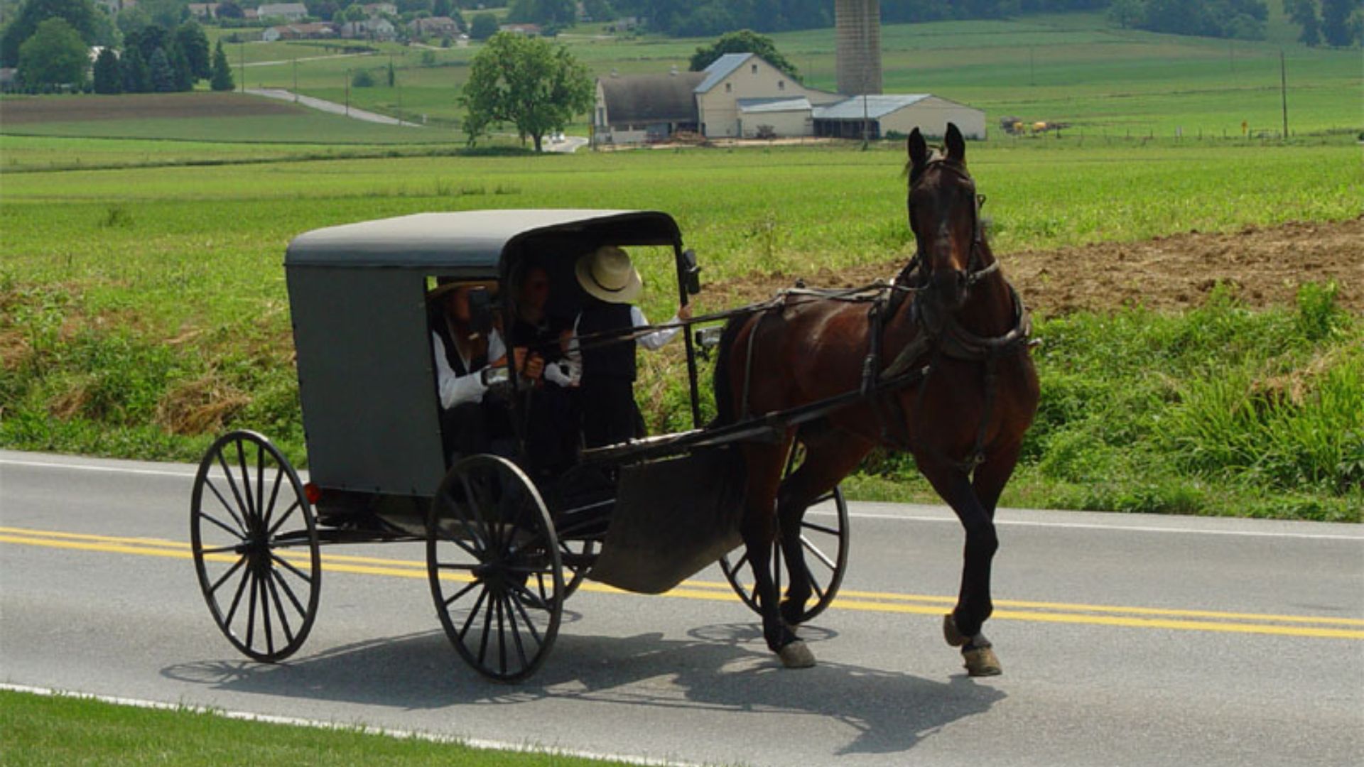 Amish family riding in a traditional Amish buggy in Lancaster County, Pennsylvania, USA.