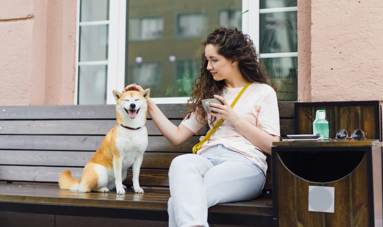 a woman sitting on a bench petting a dog