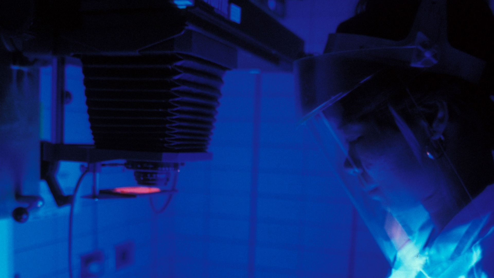 File:Rice in the Lab.jpg