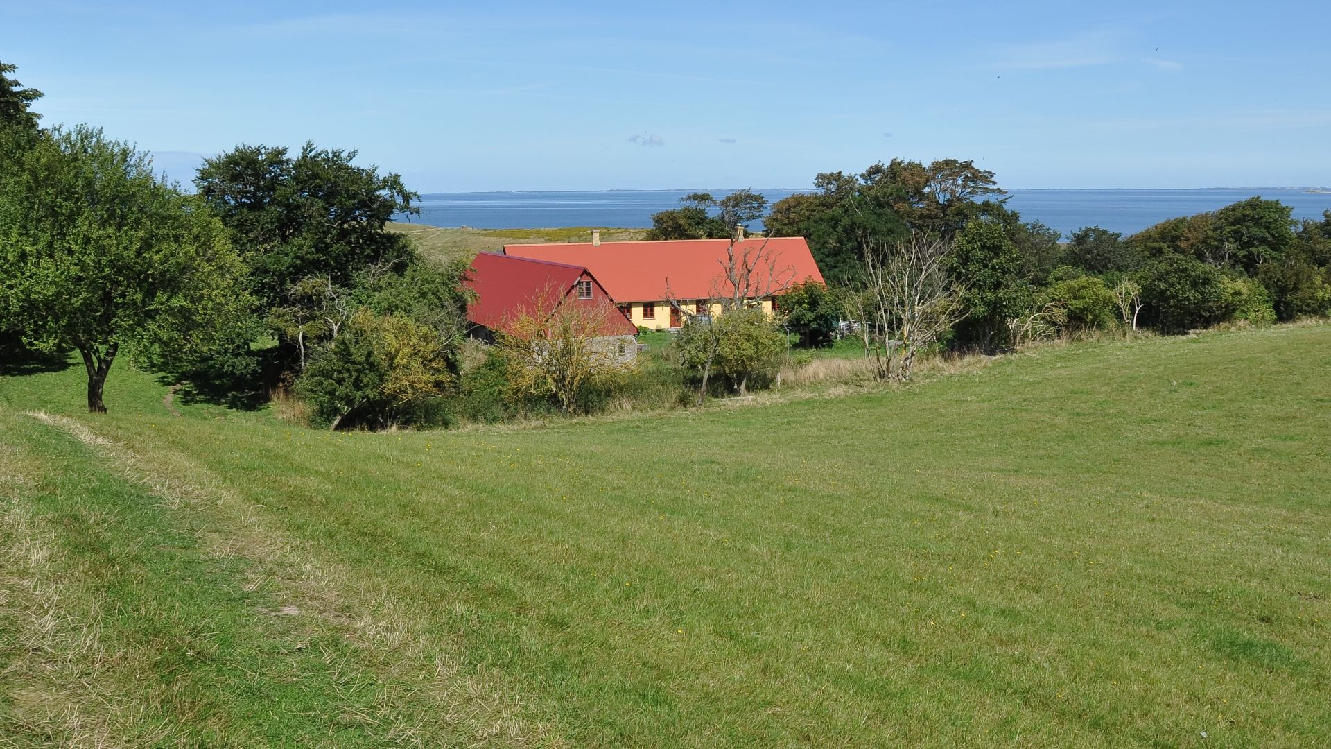 A farm with surrounding fields on the Danish island Nekselø.
