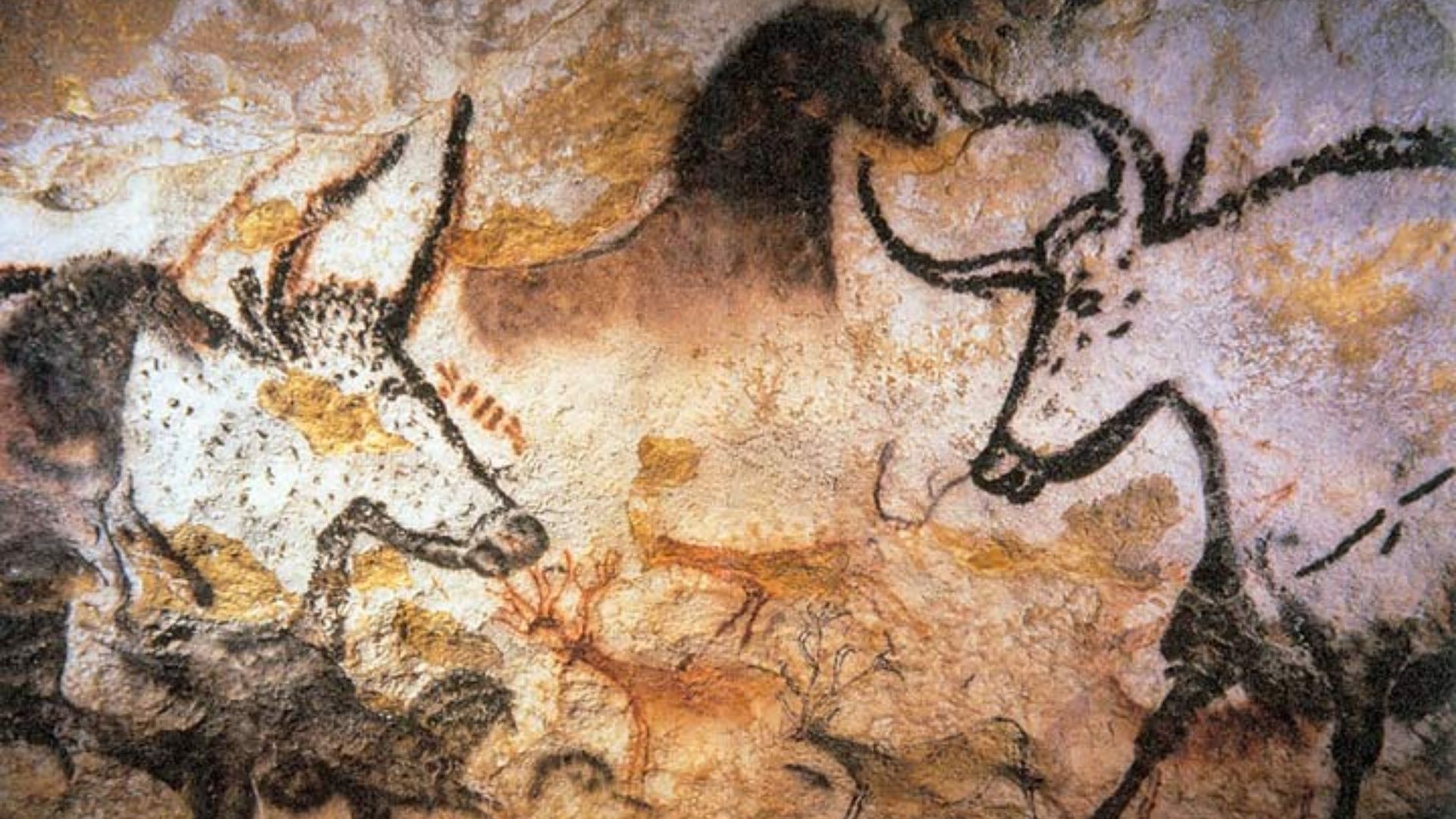 Aurochs, horses and deer painted on a cave