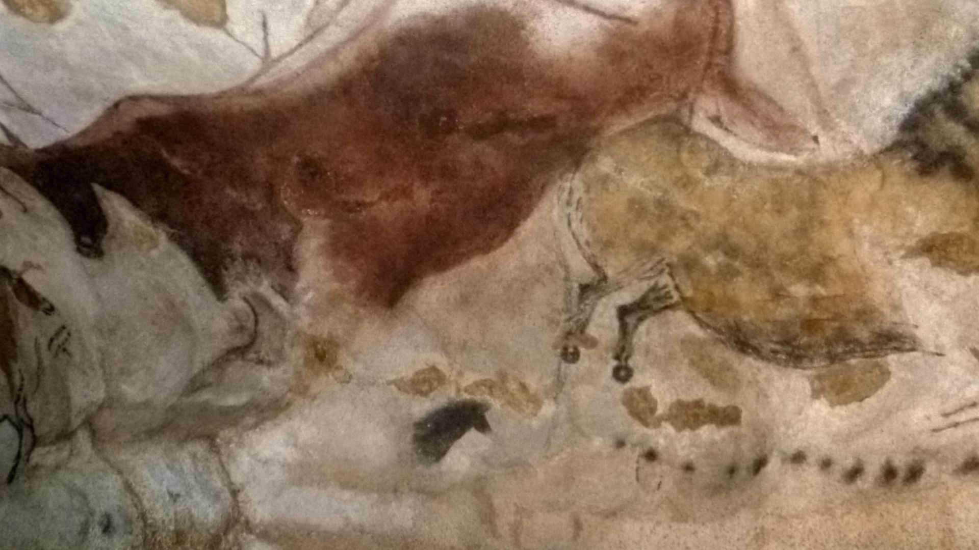 Interior of the Lascaux Cave. Prehistoric cave painting.