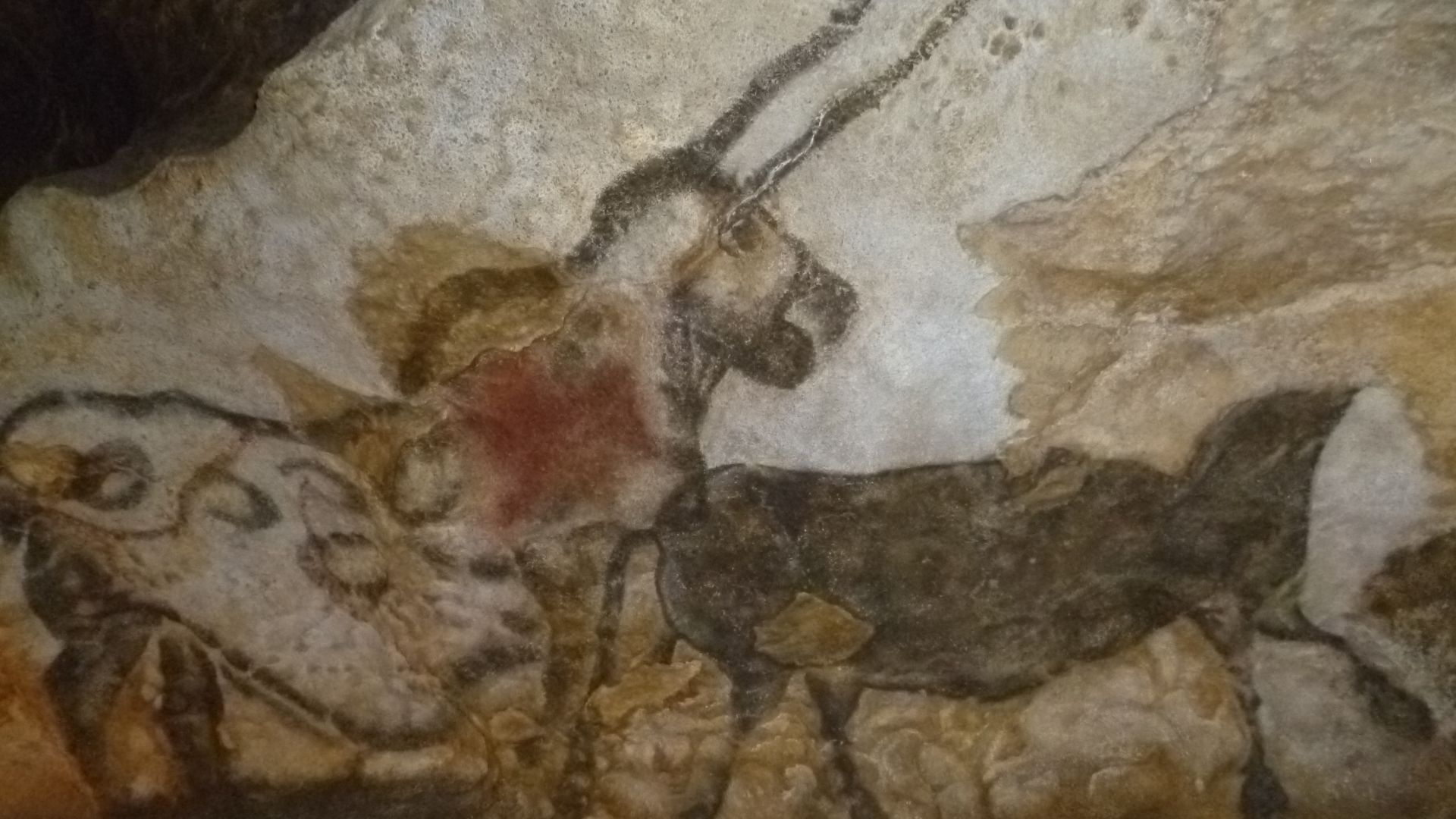 Intérieur de la grotte de Lascaux. Peinture rupestre préhistorique