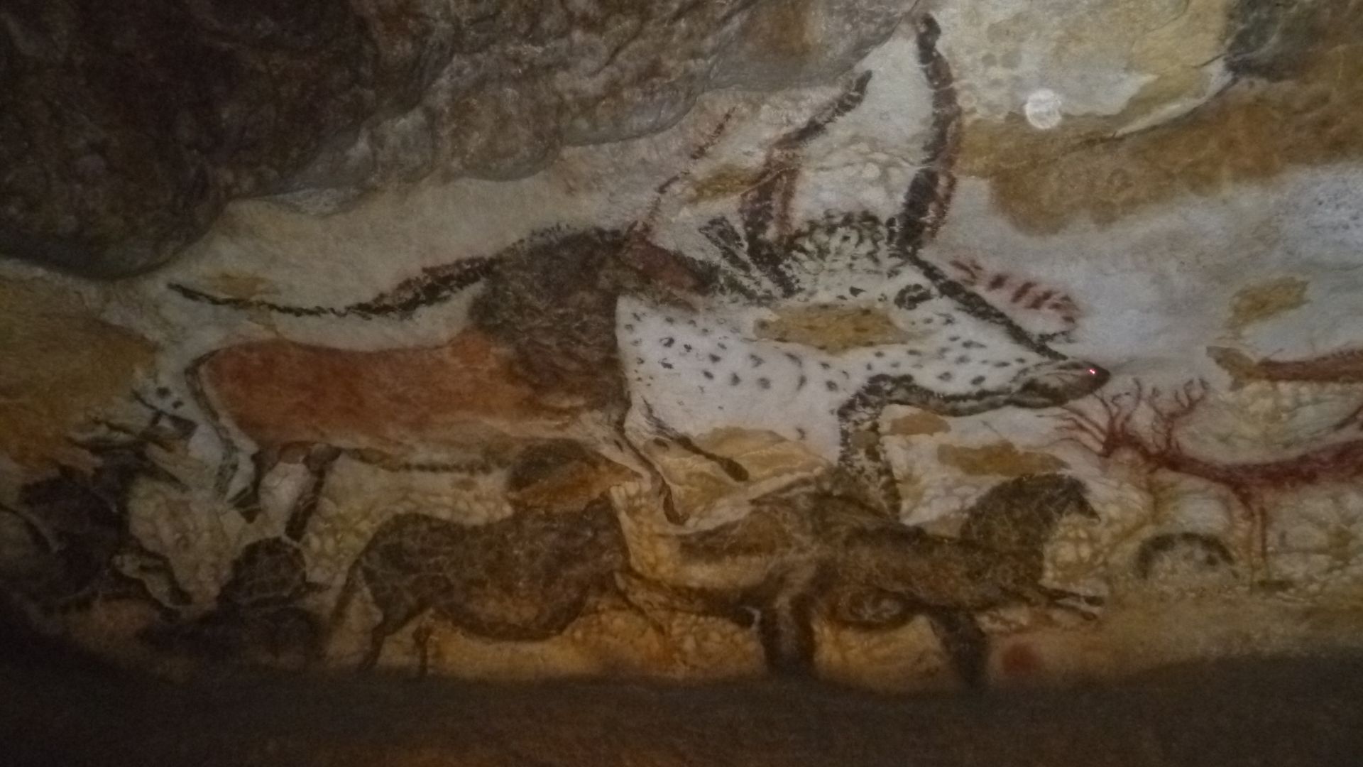 Intérieur de la grotte de Lascaux. Peinture rupestre préhistorique