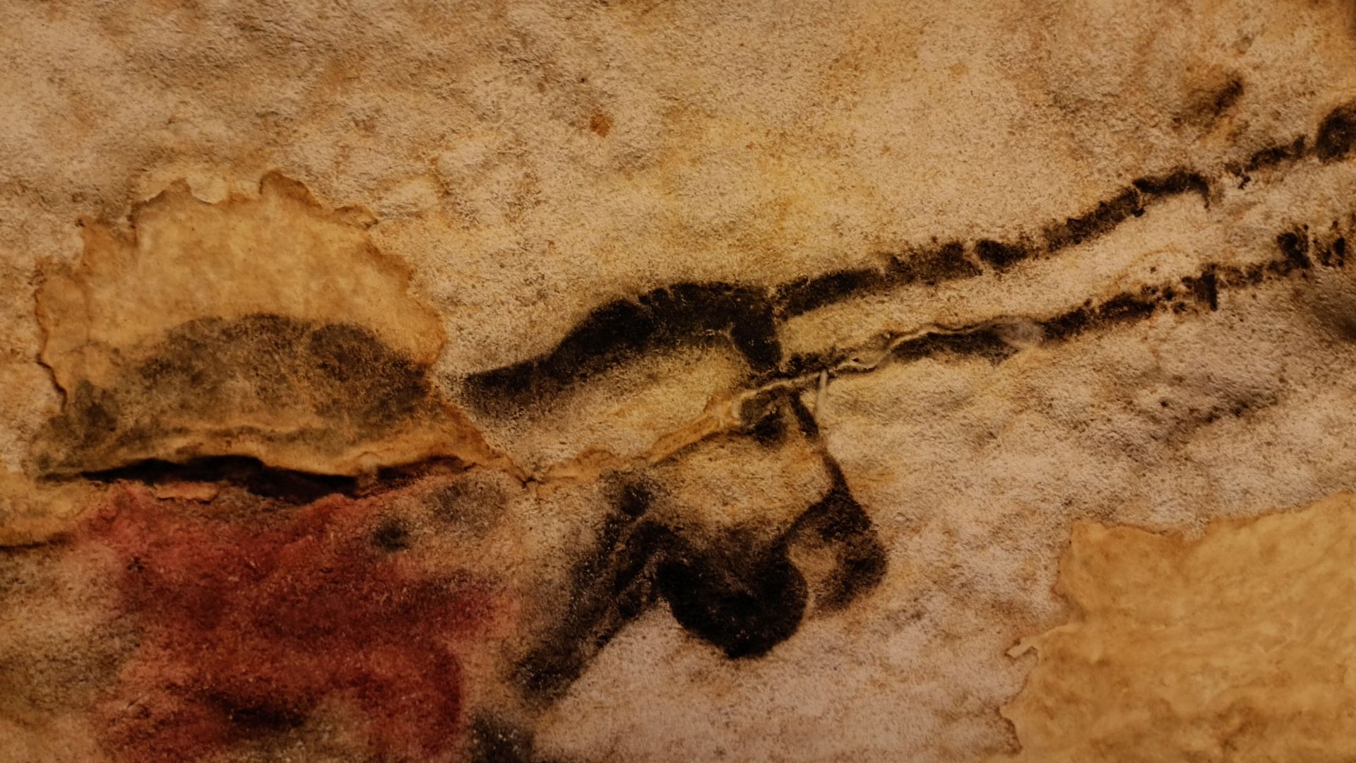 Grotte de Lascaux 4
