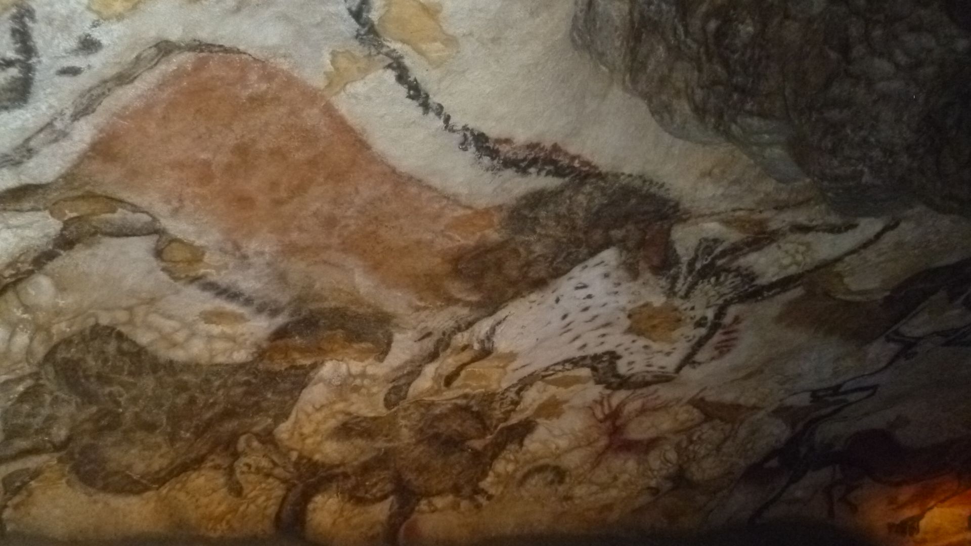 Intérieur de la grotte de Lascaux. Peinture rupestre préhistorique