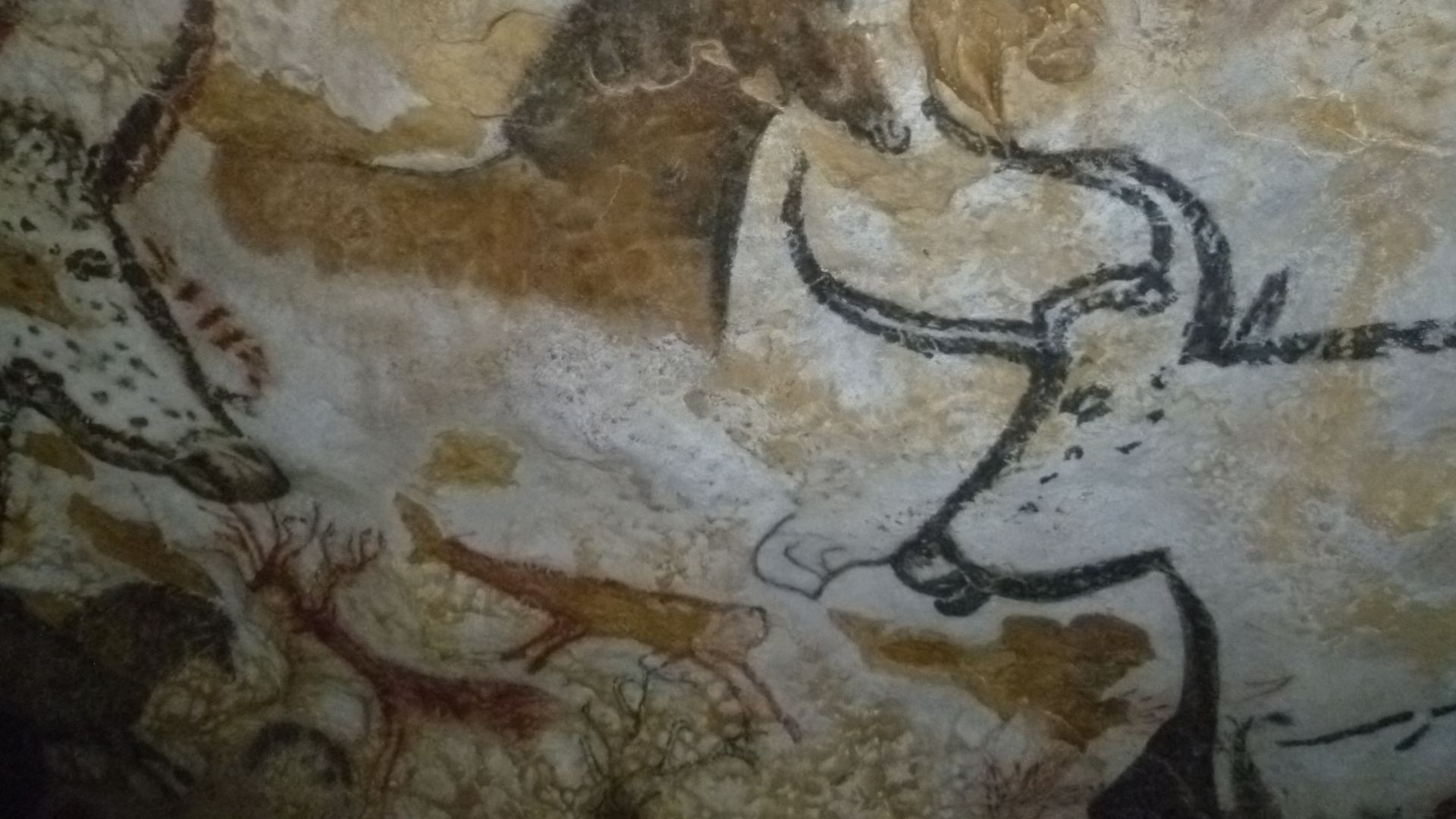 Intérieur de la grotte de Lascaux. Peinture rupestre préhistorique