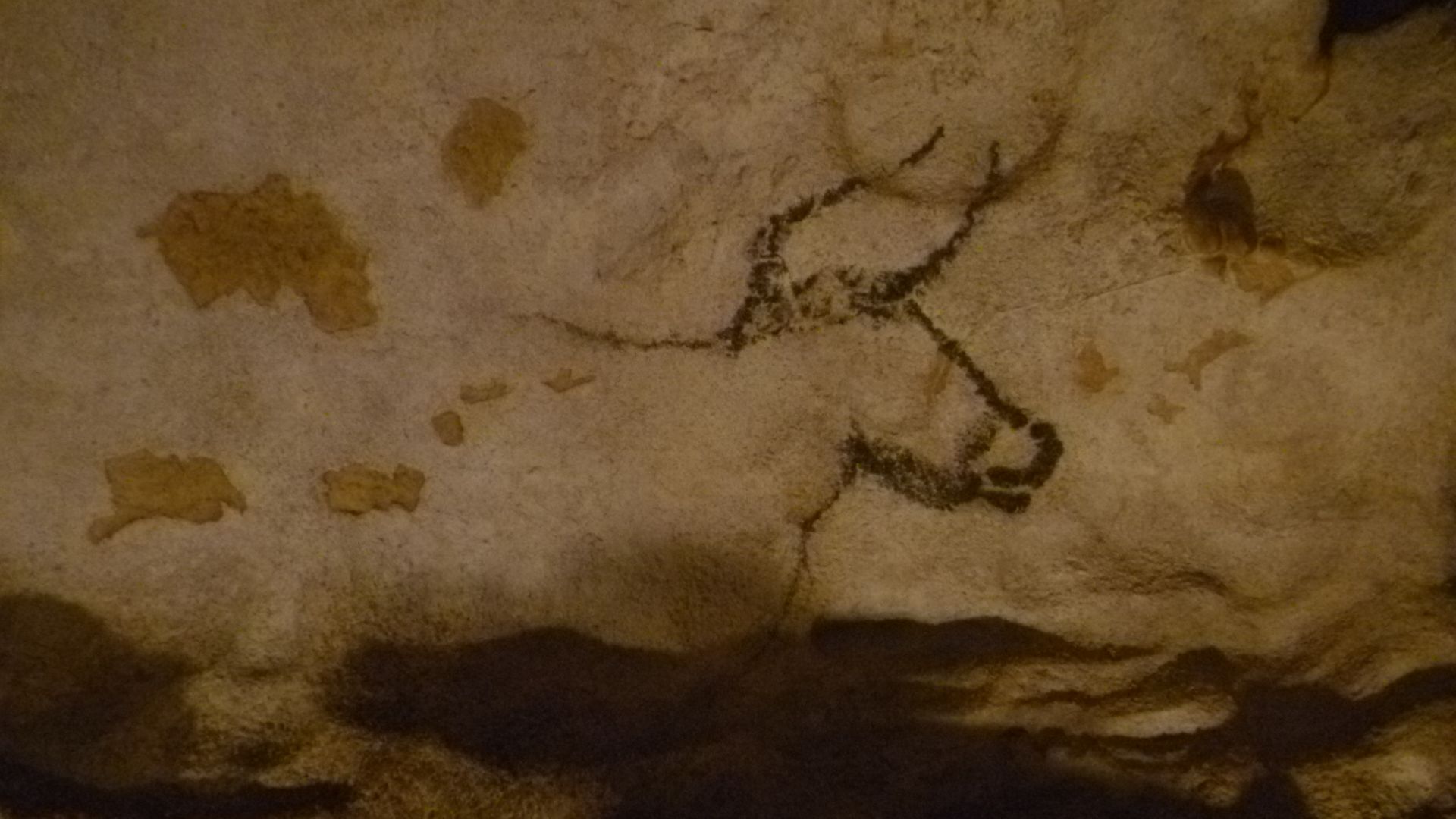 Intérieur de la grotte de Lascaux. Peinture rupestre préhistorique