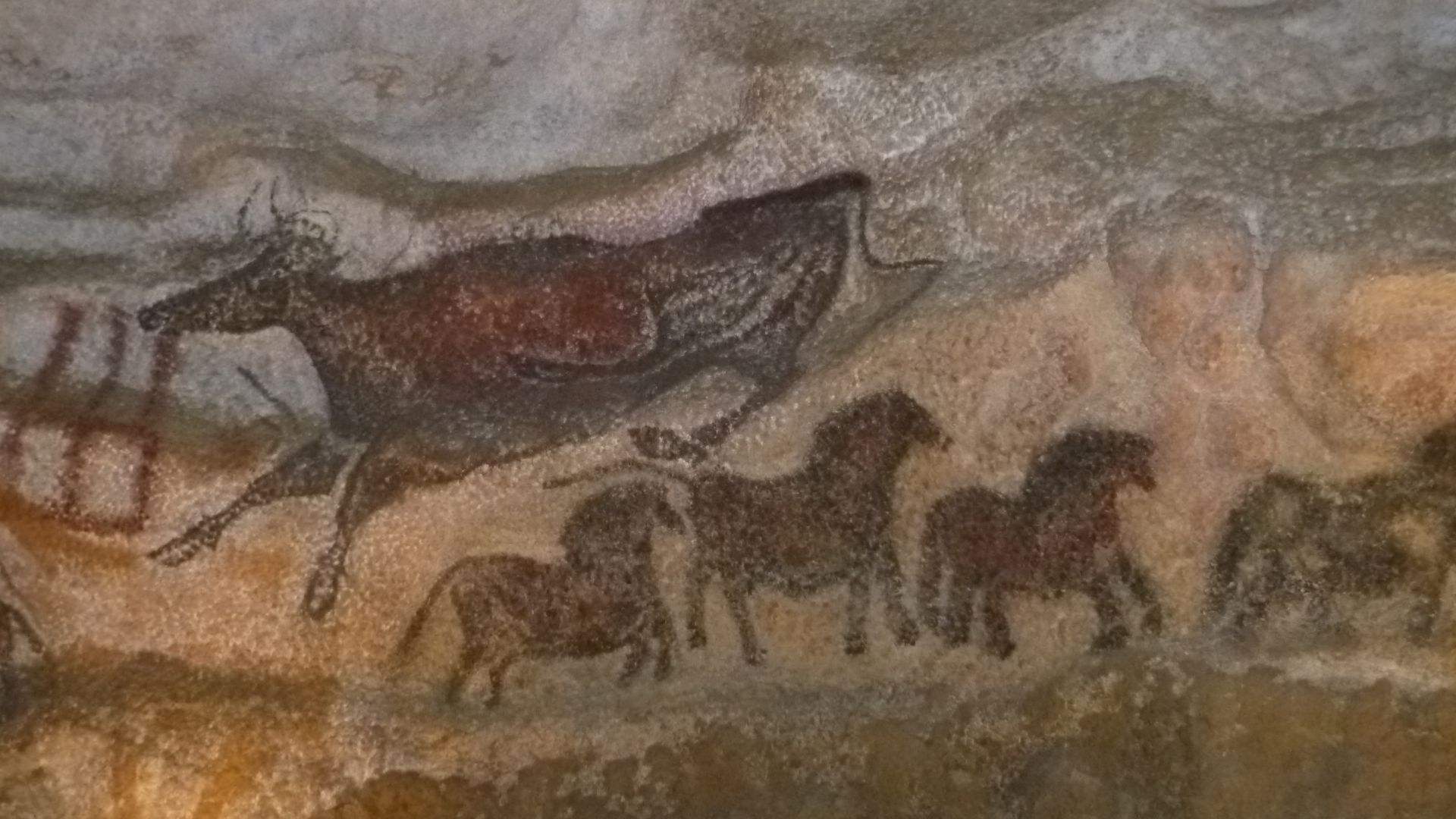 Intérieur de la grotte de Lascaux. Peinture rupestre préhistorique