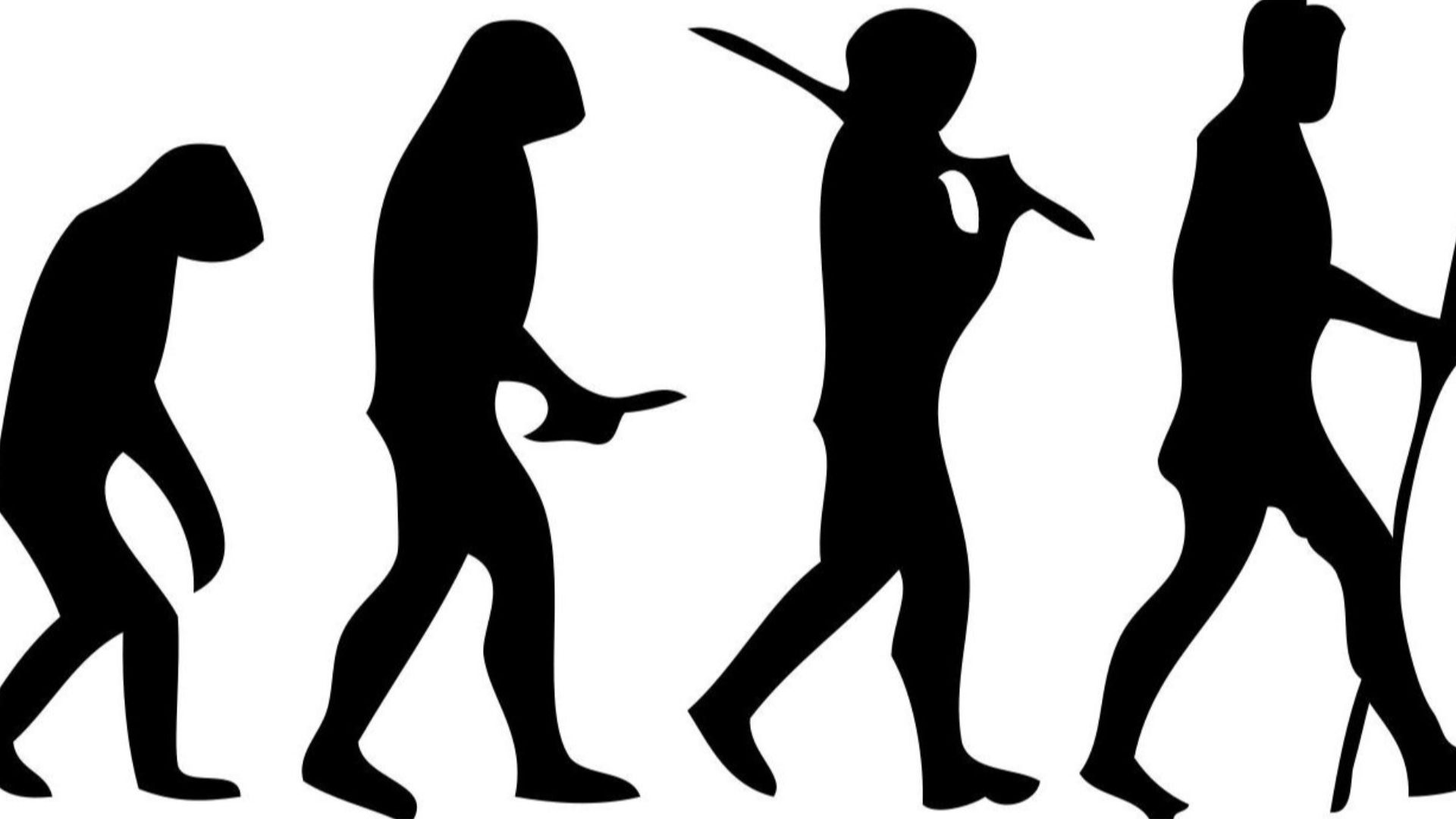 This is a recreated vector image in SVG. The original