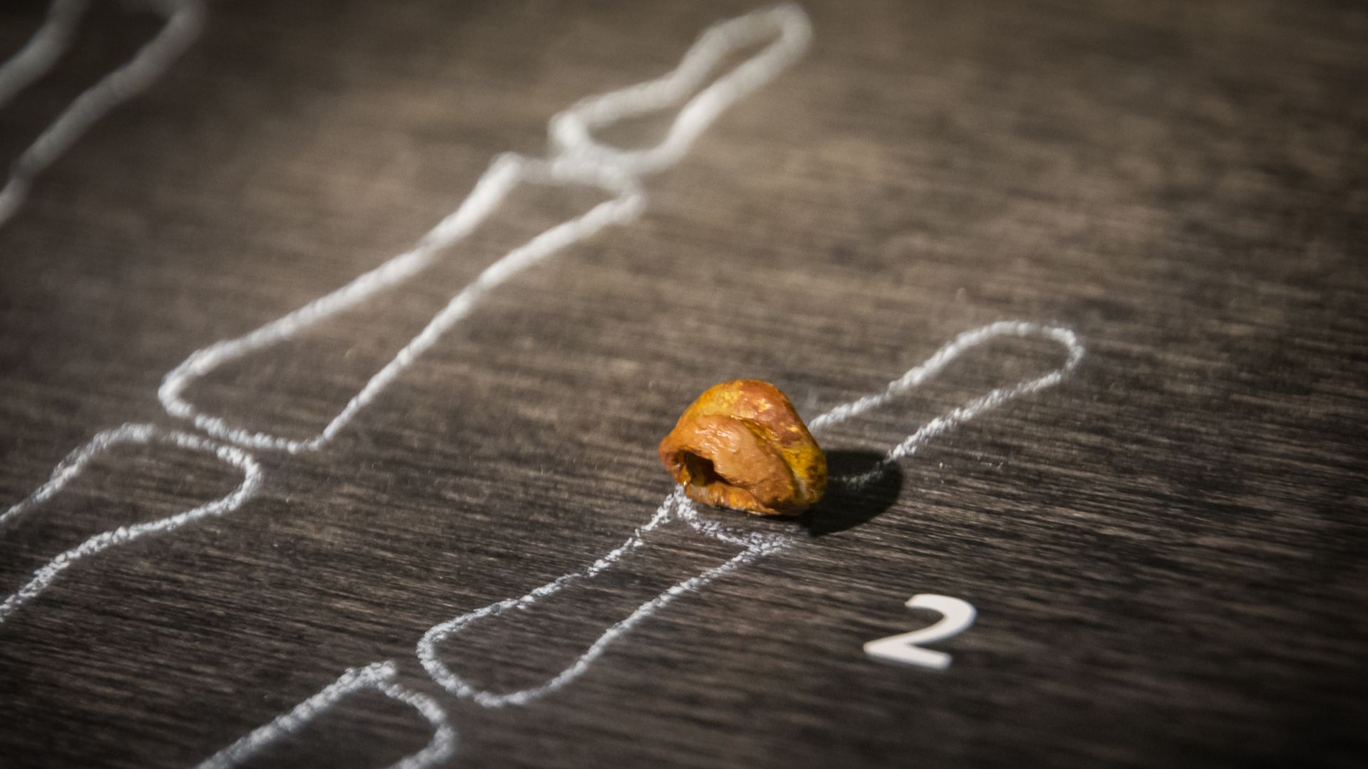 Replica of a Denisovan finger bone fragment, originally found in Denisova Cave in 2008, at the Museum of Natural Sciences in Brussels, Belgium.