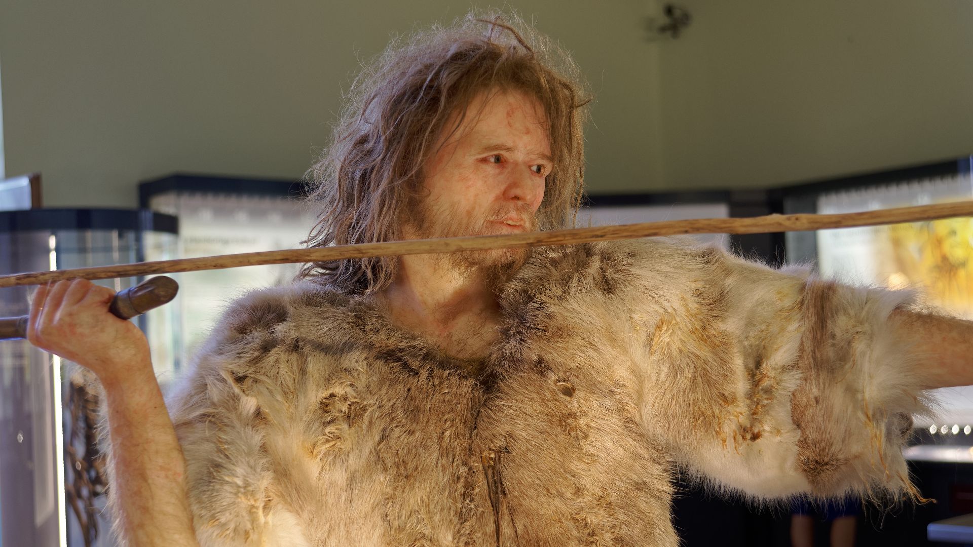 Model of Cro-Magnon 1, Homo Sapiens man in The Natural History Museum, Vienna